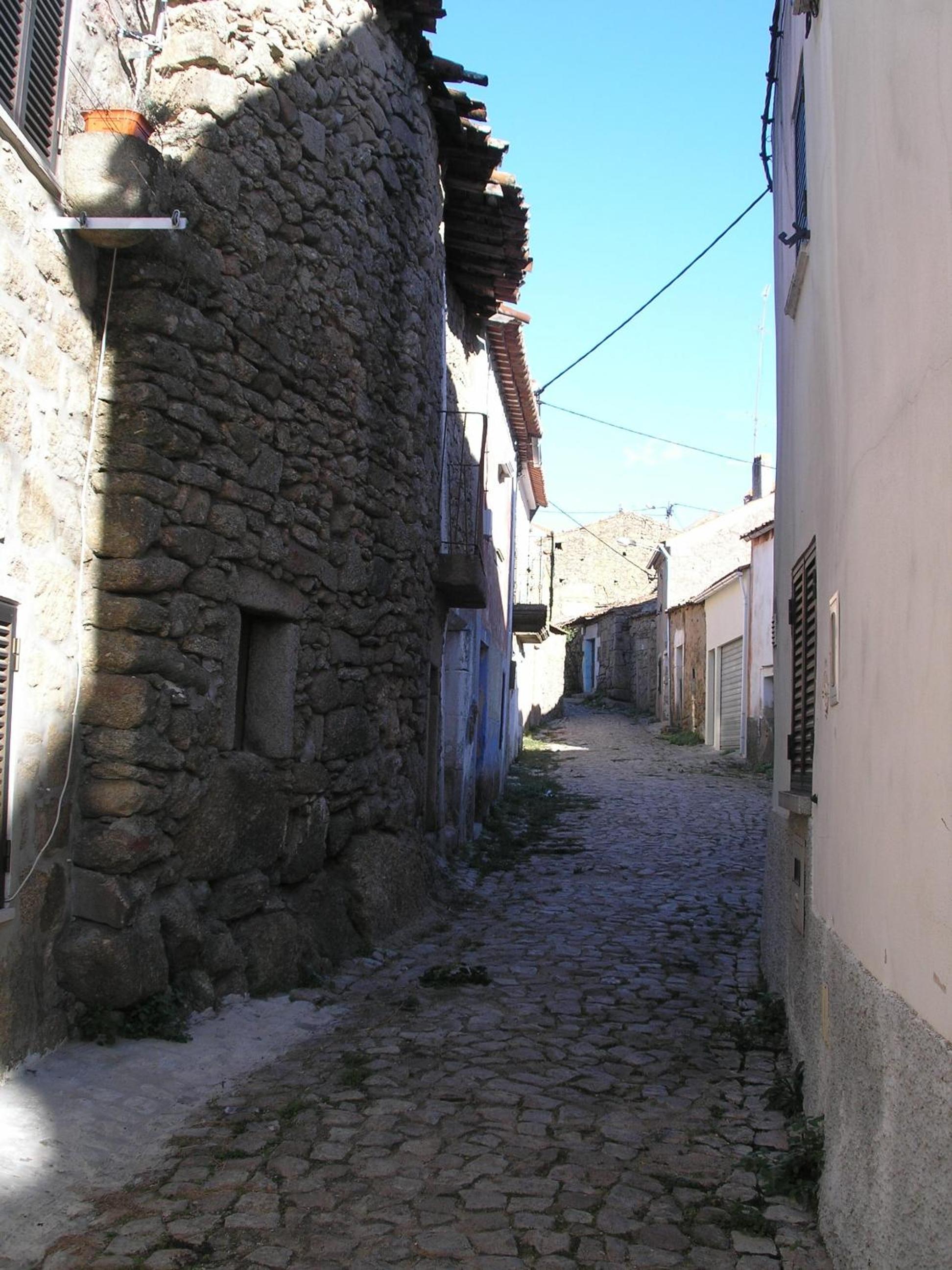 Photo 40