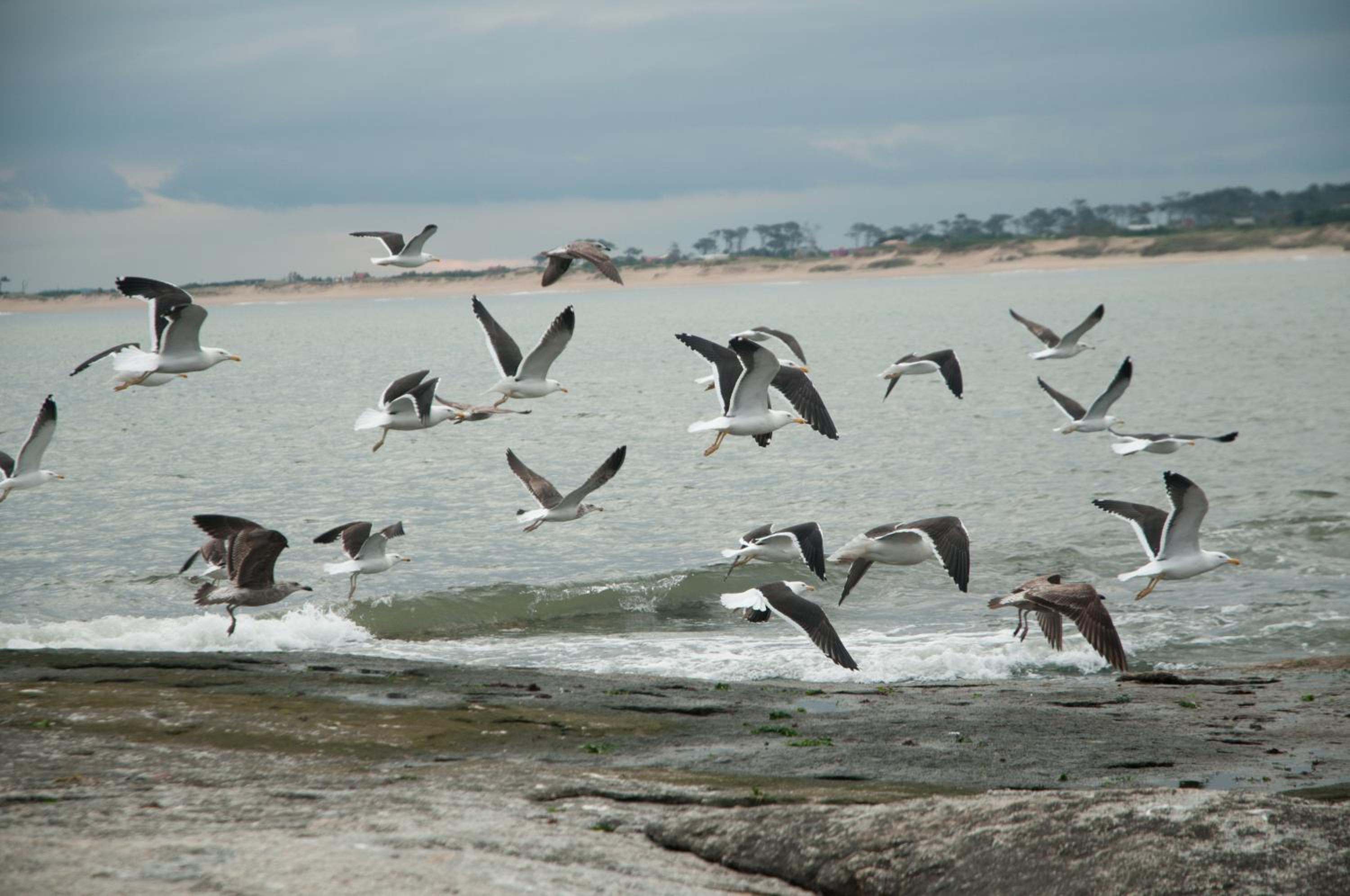 Photo 45