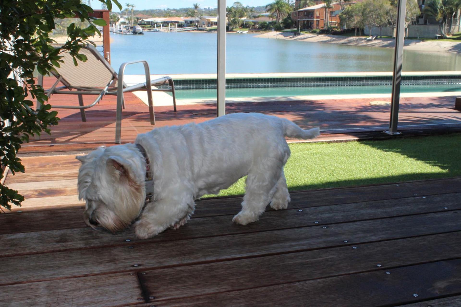 Saltwater Villas - Pet Friendly Accommodation, photo 84