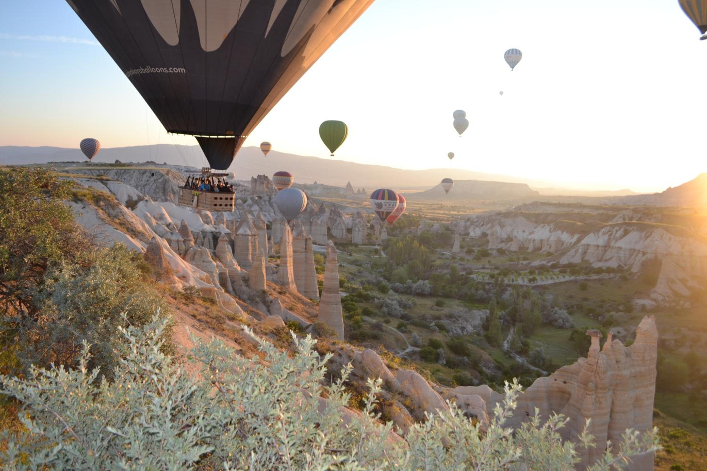 Coco Cave - Image 21