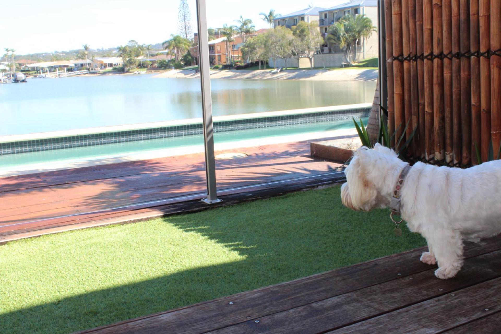Saltwater Villas - Pet Friendly Accommodation, photo 39