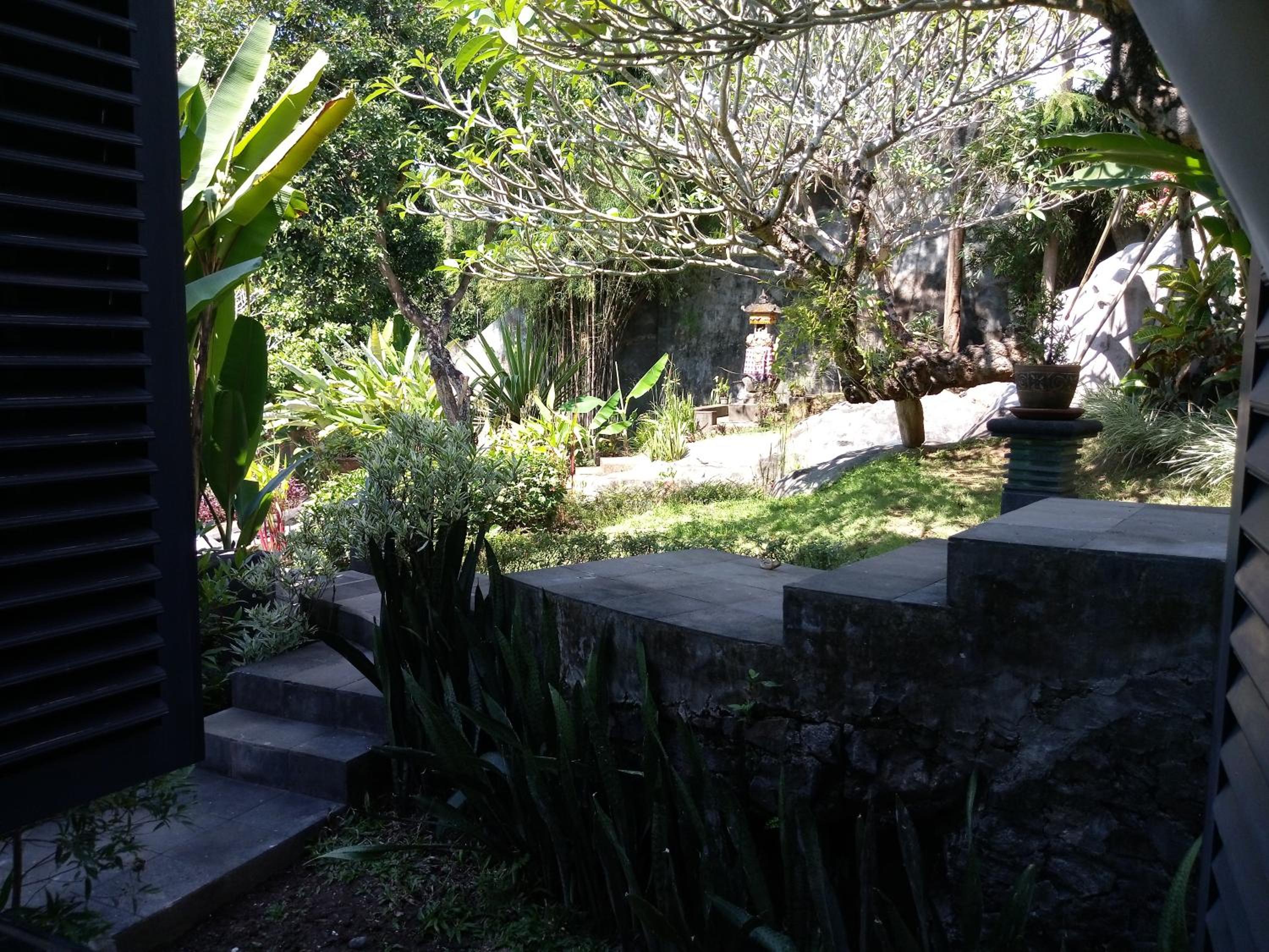 Photo 51