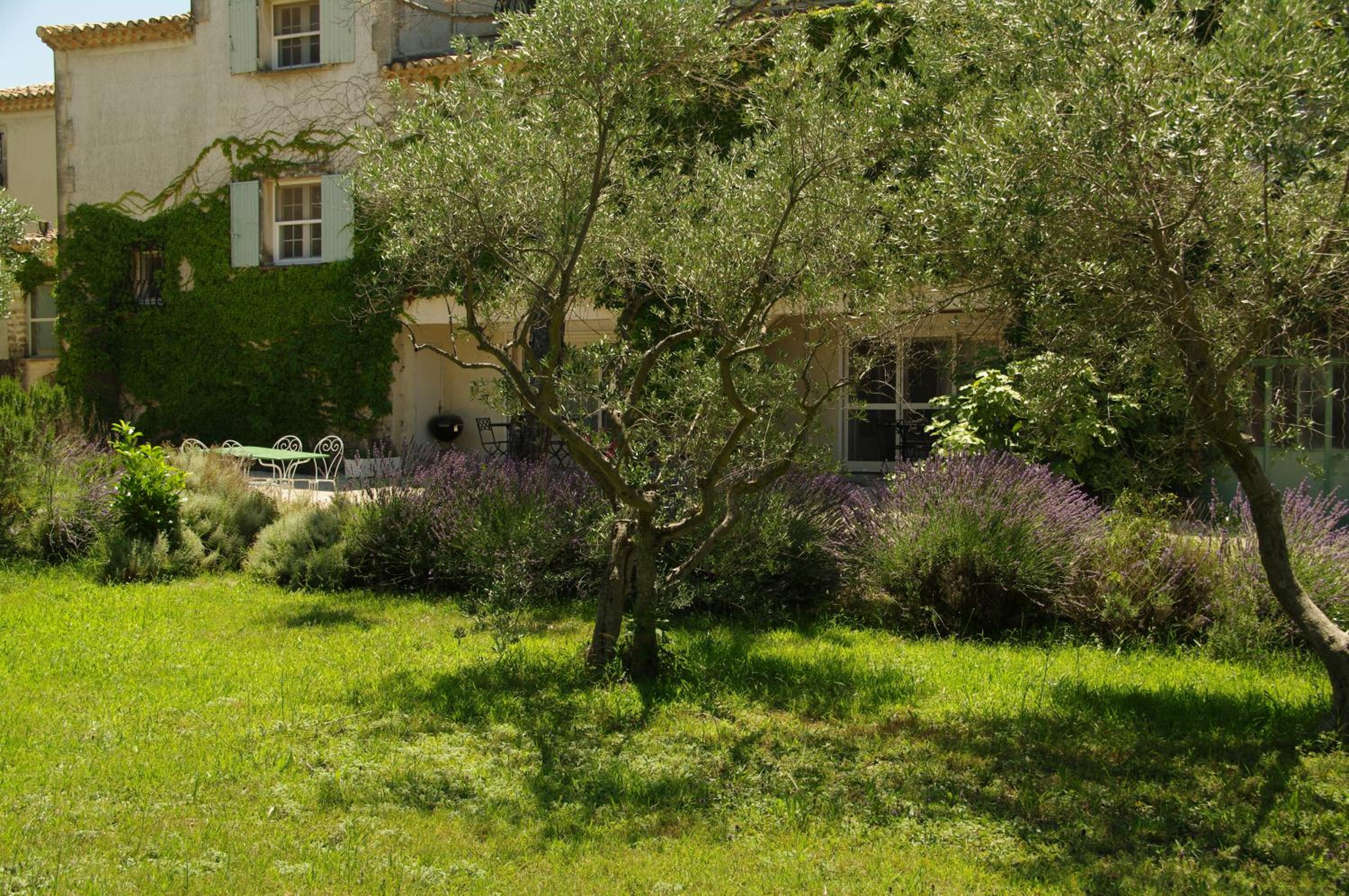 Photo 18
