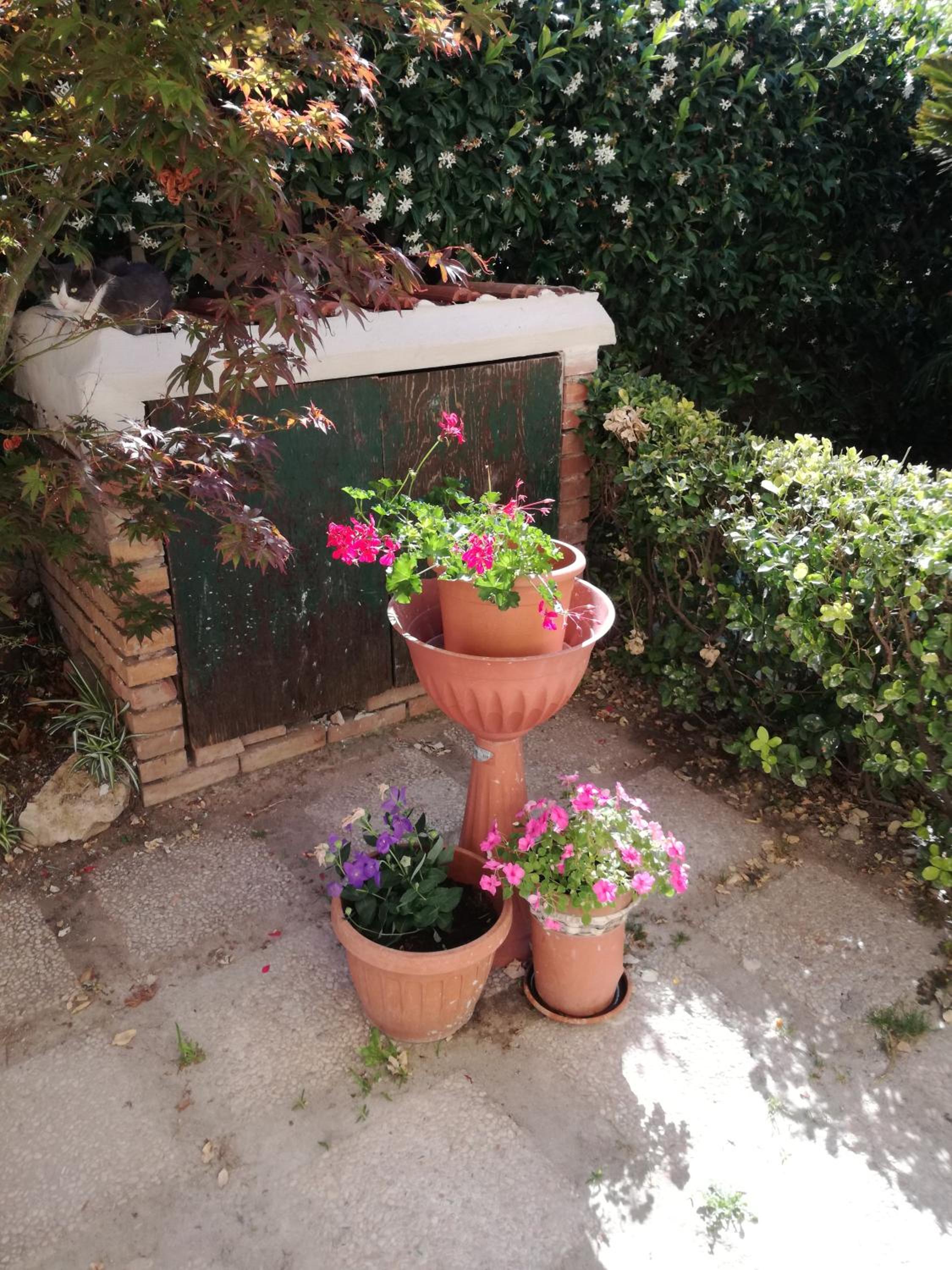 Photo 27