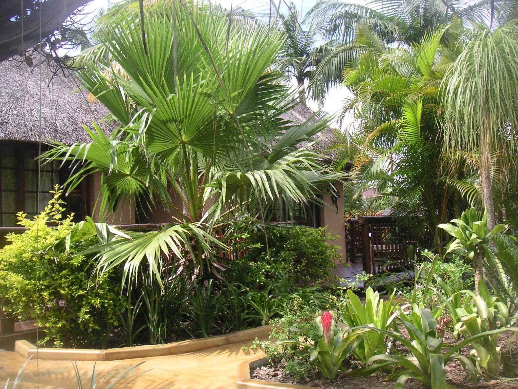 Photo 24