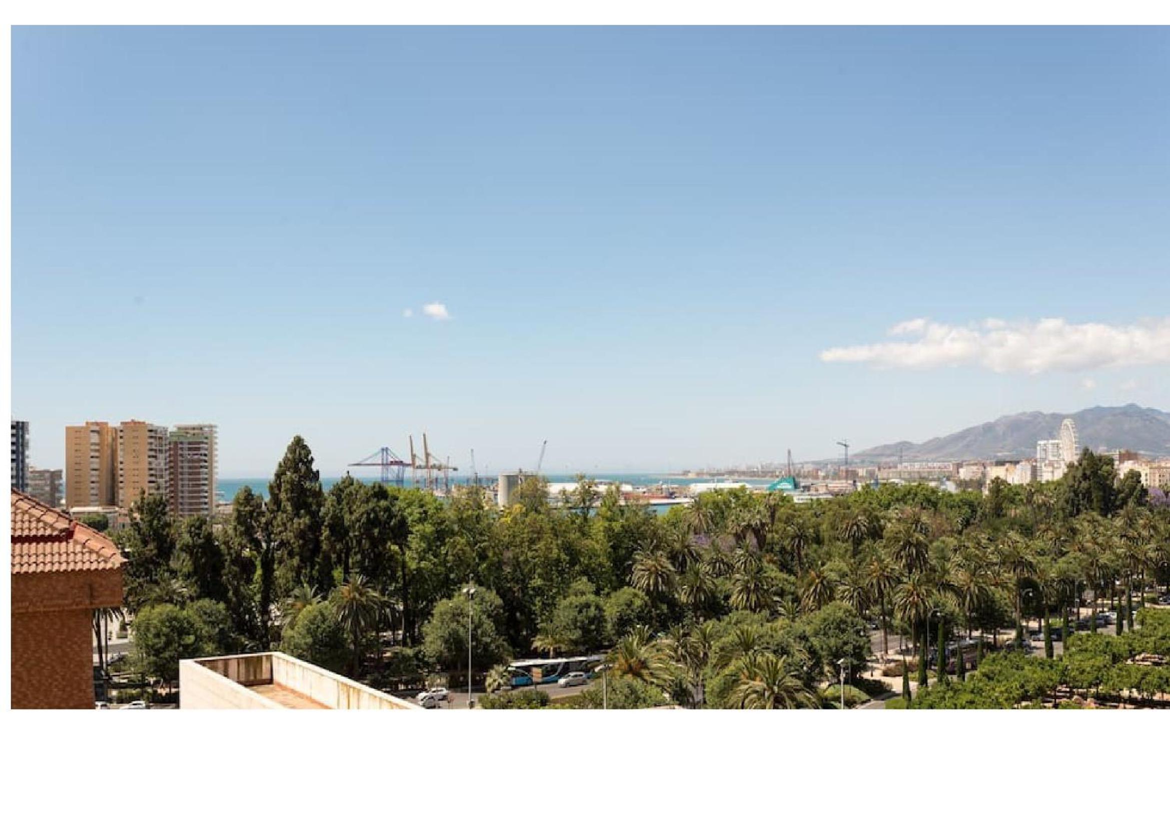 Apartamento Malagueta Campos Eliseos
