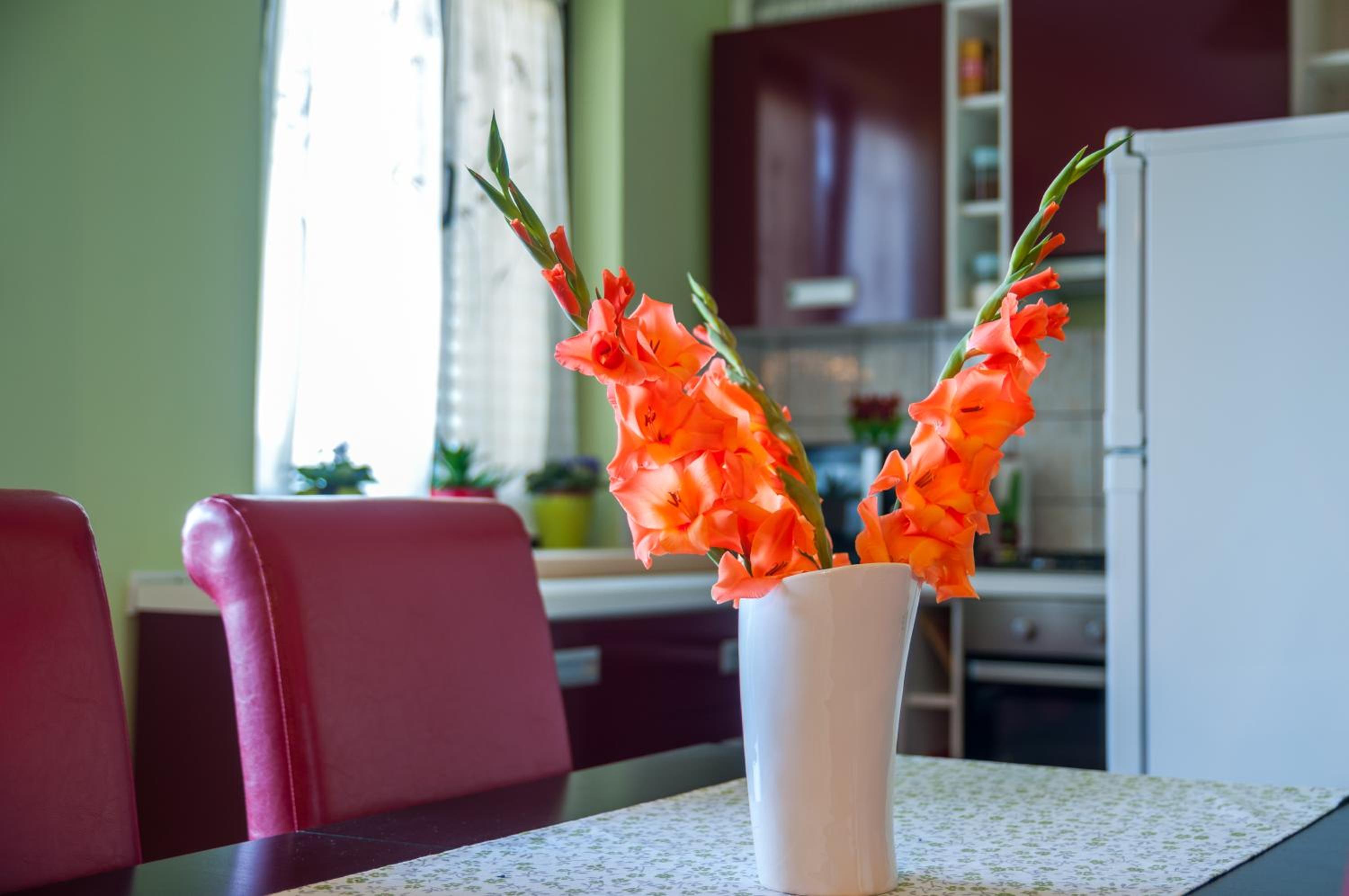 Apartman Sabljak view 3