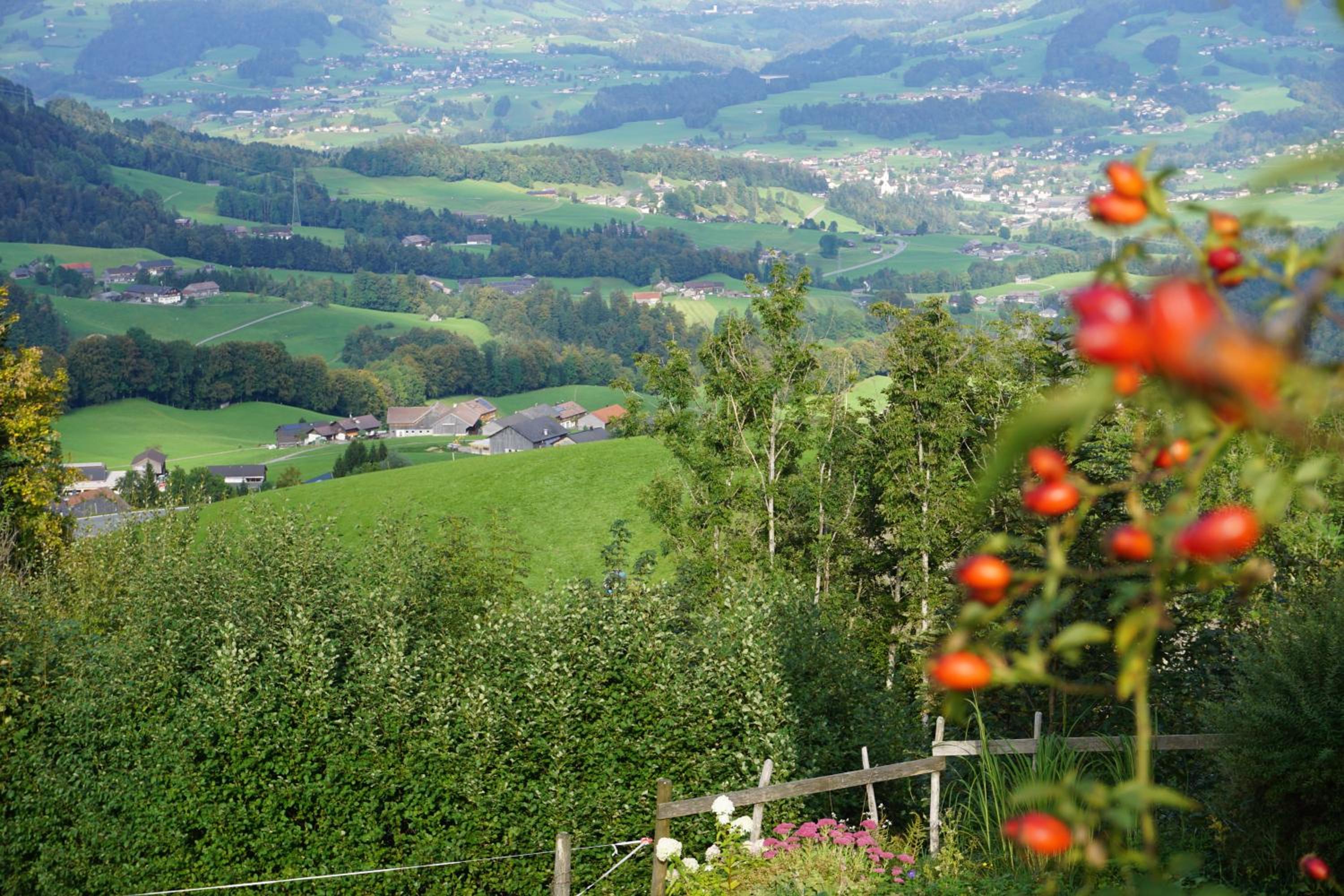 Ferienwohnungen im Blockhaus Metzler