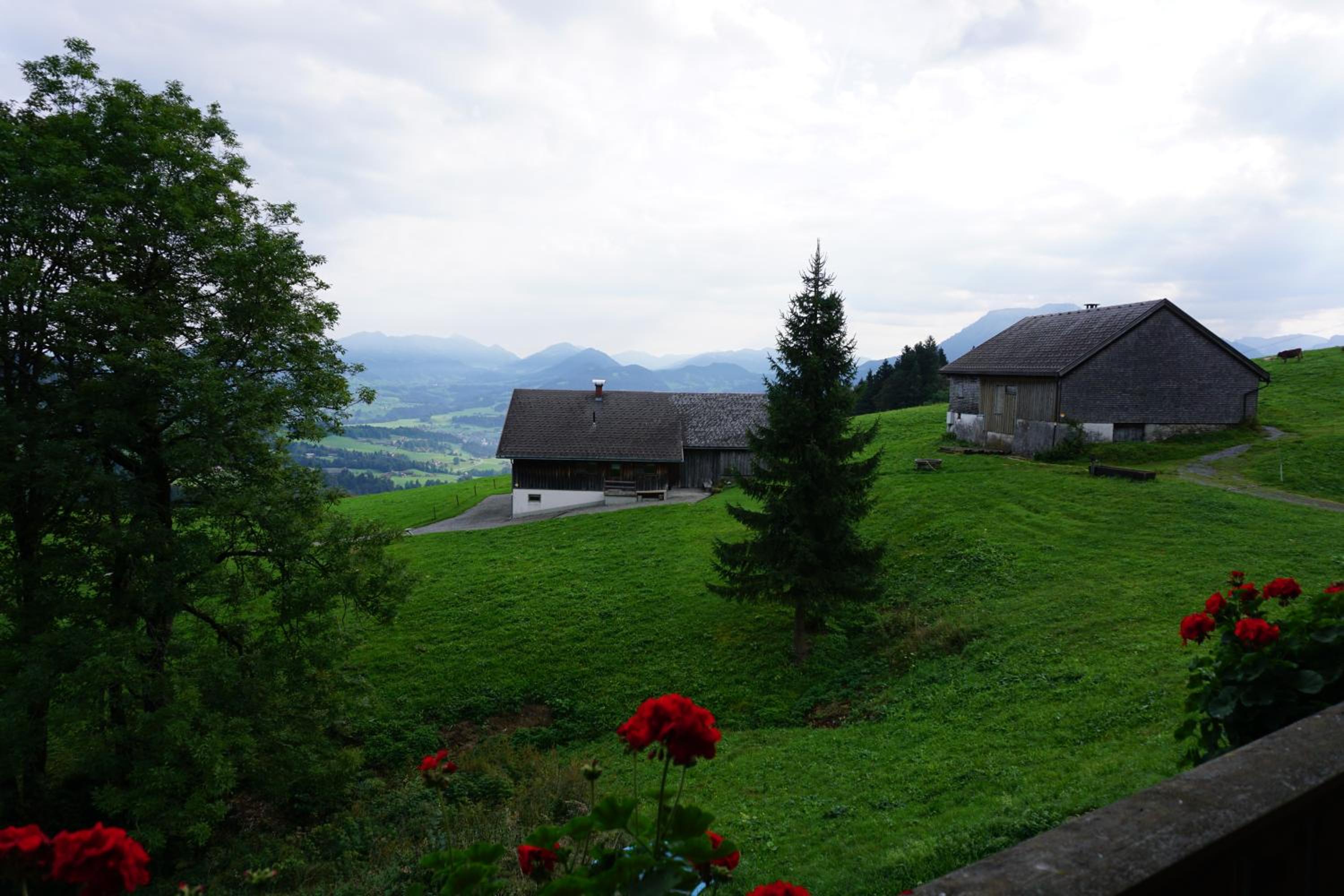 Ferienwohnungen im Blockhaus Metzler