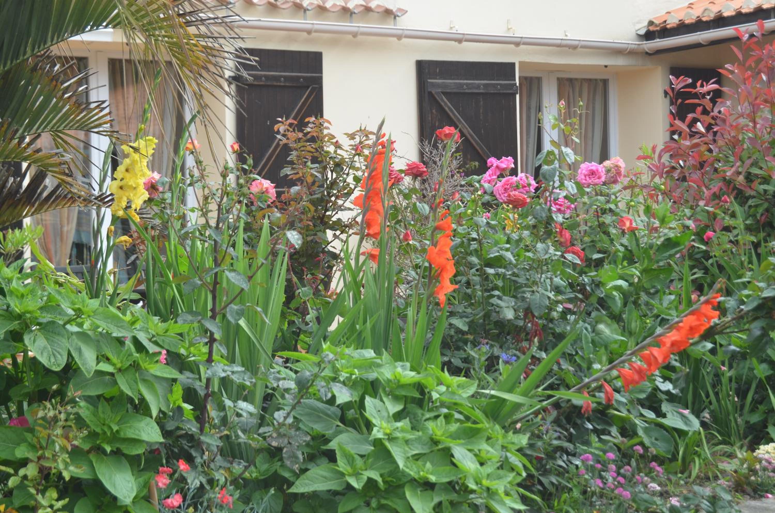 Photo 14