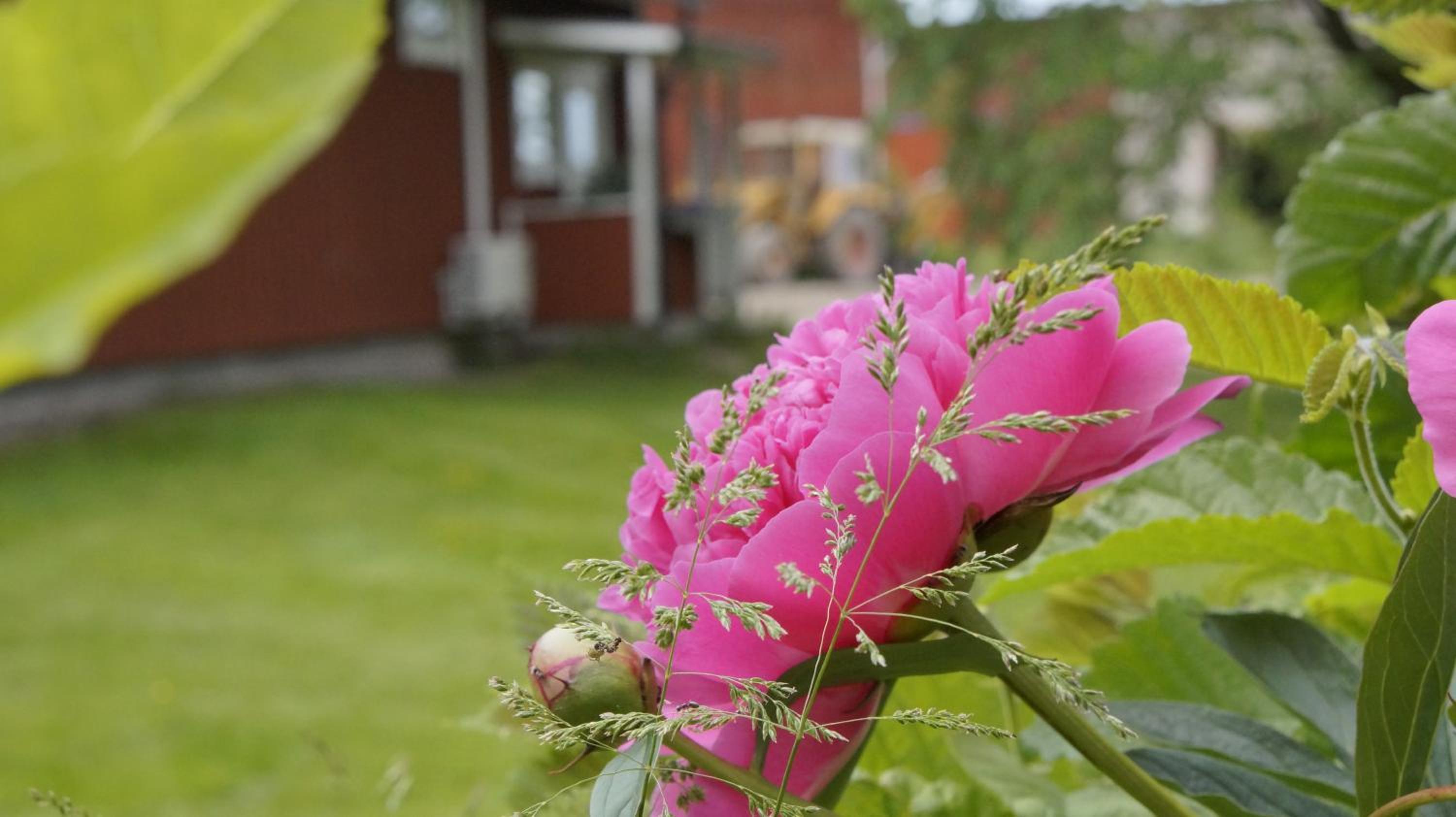 Mårbys Gästrum