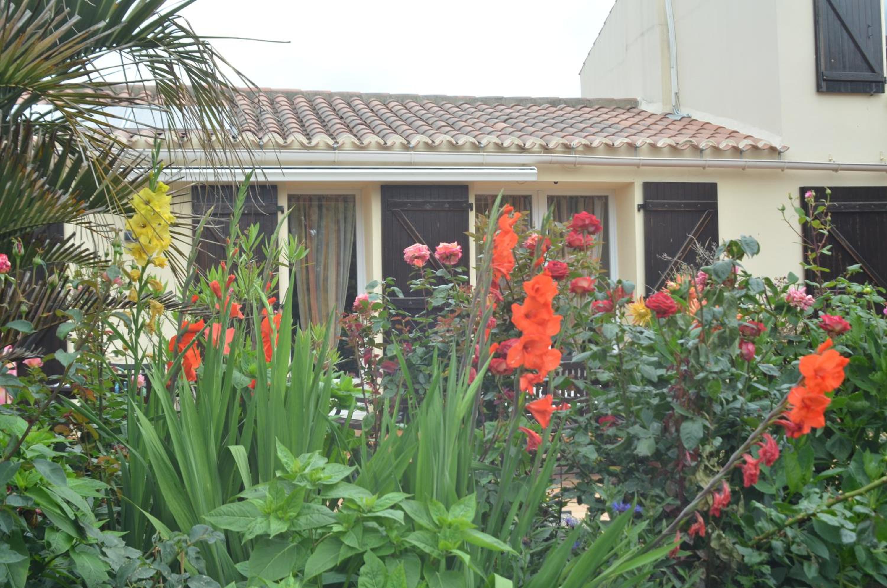 Photo 16