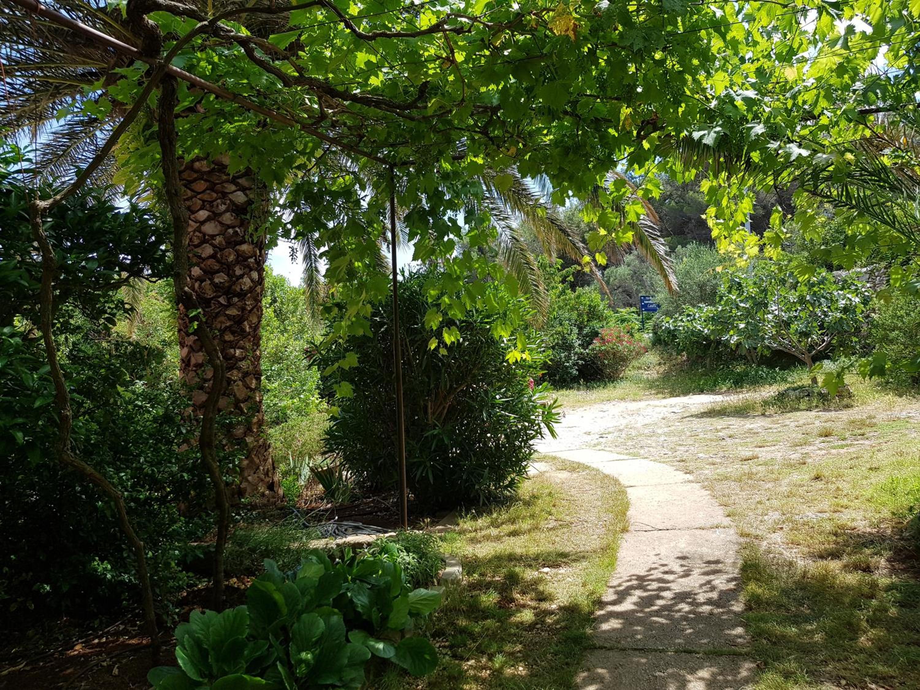 Photo 6