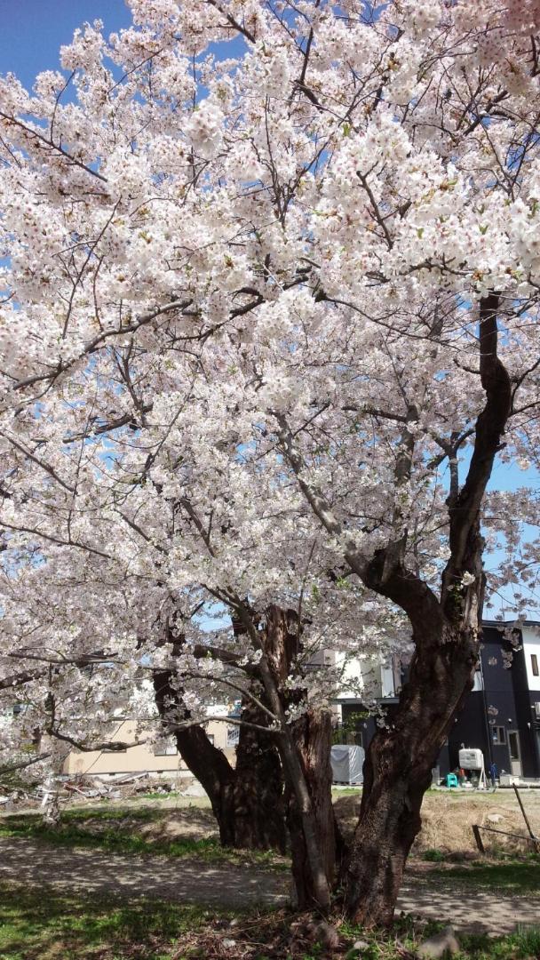 Kakunodate Guesthouse Fuga, photo 27