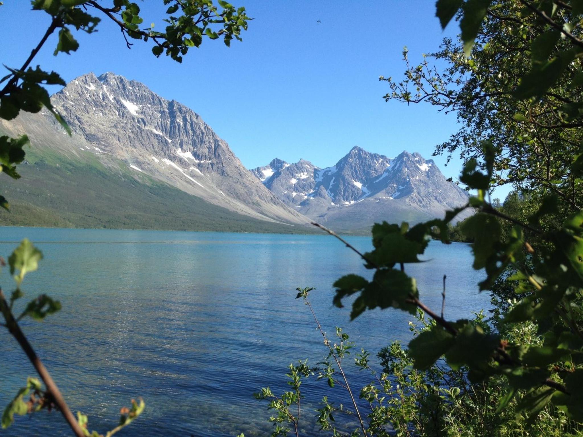 Photo 25