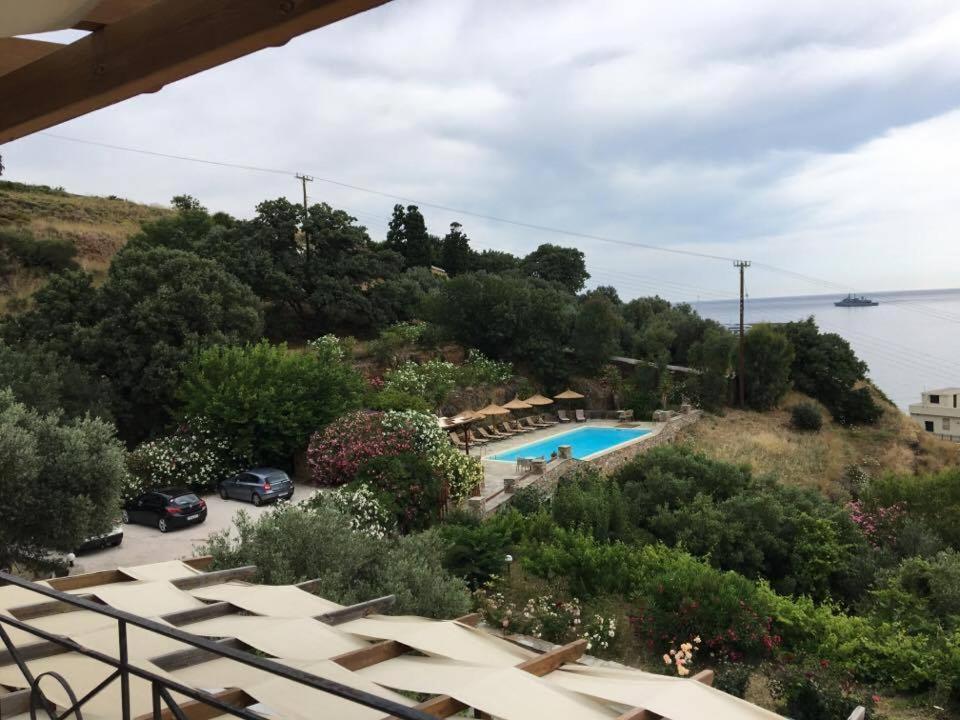 Vassiliki Studios photo 5