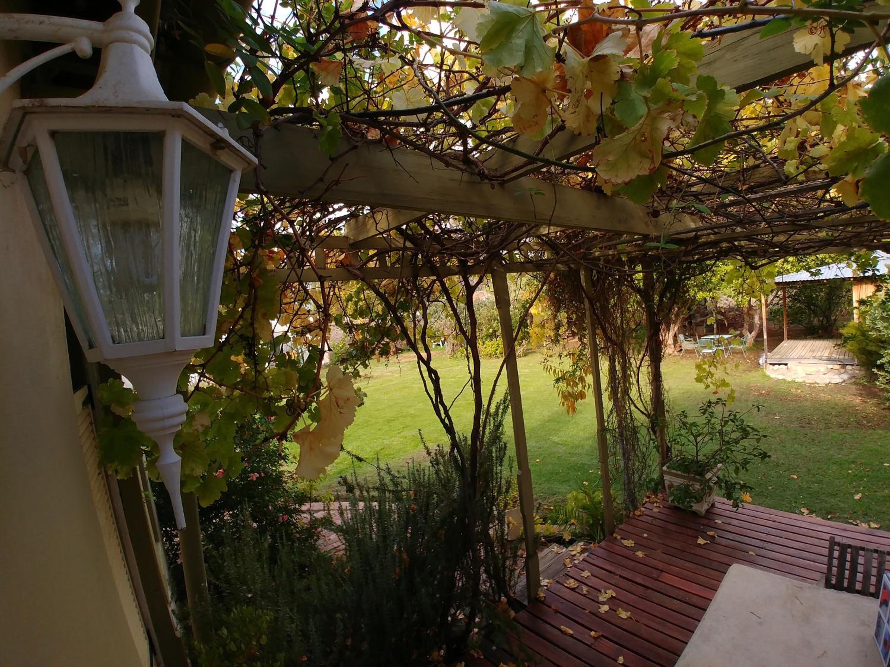 Photo 23