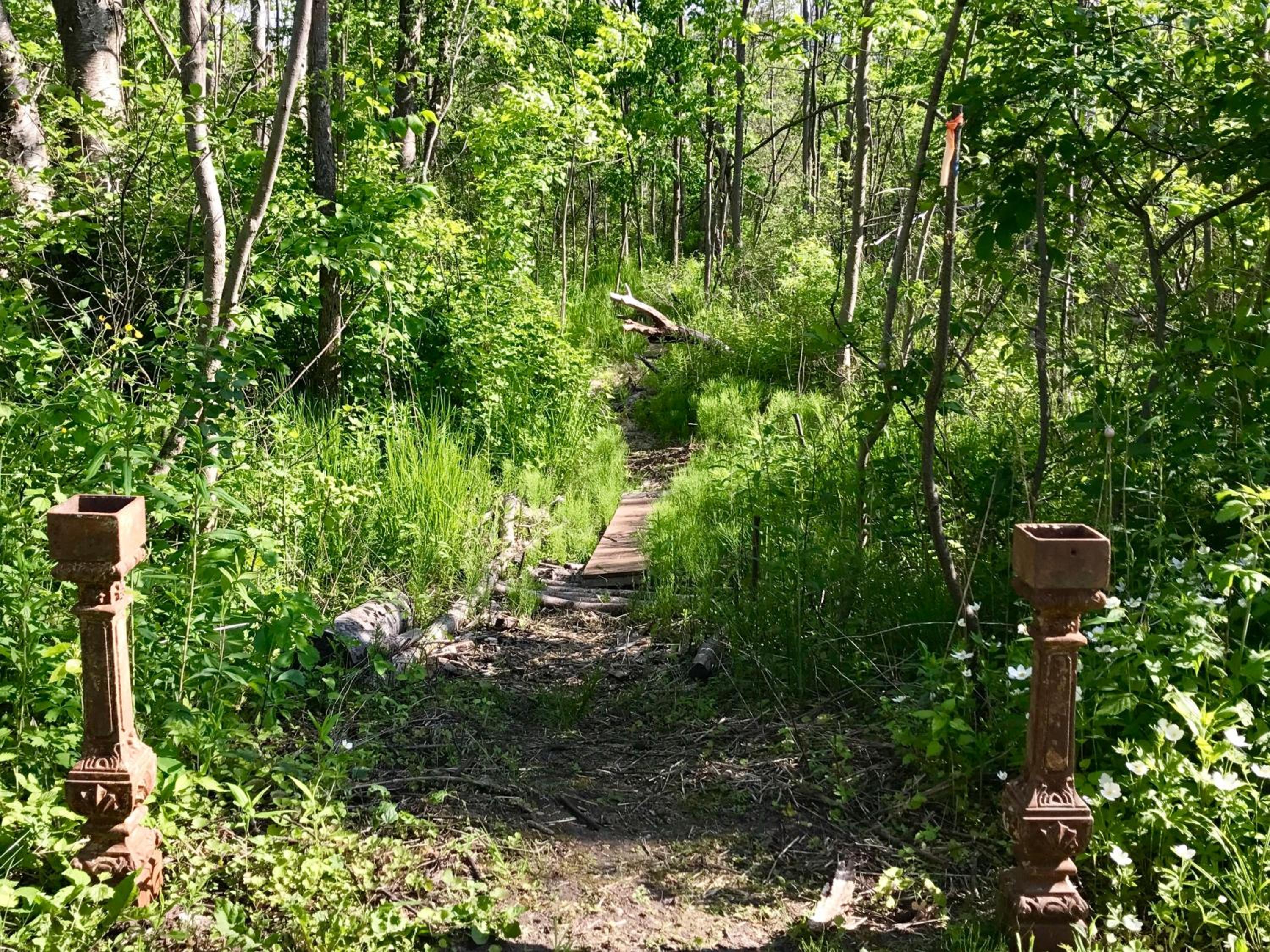 Cedar Ridge Cabins