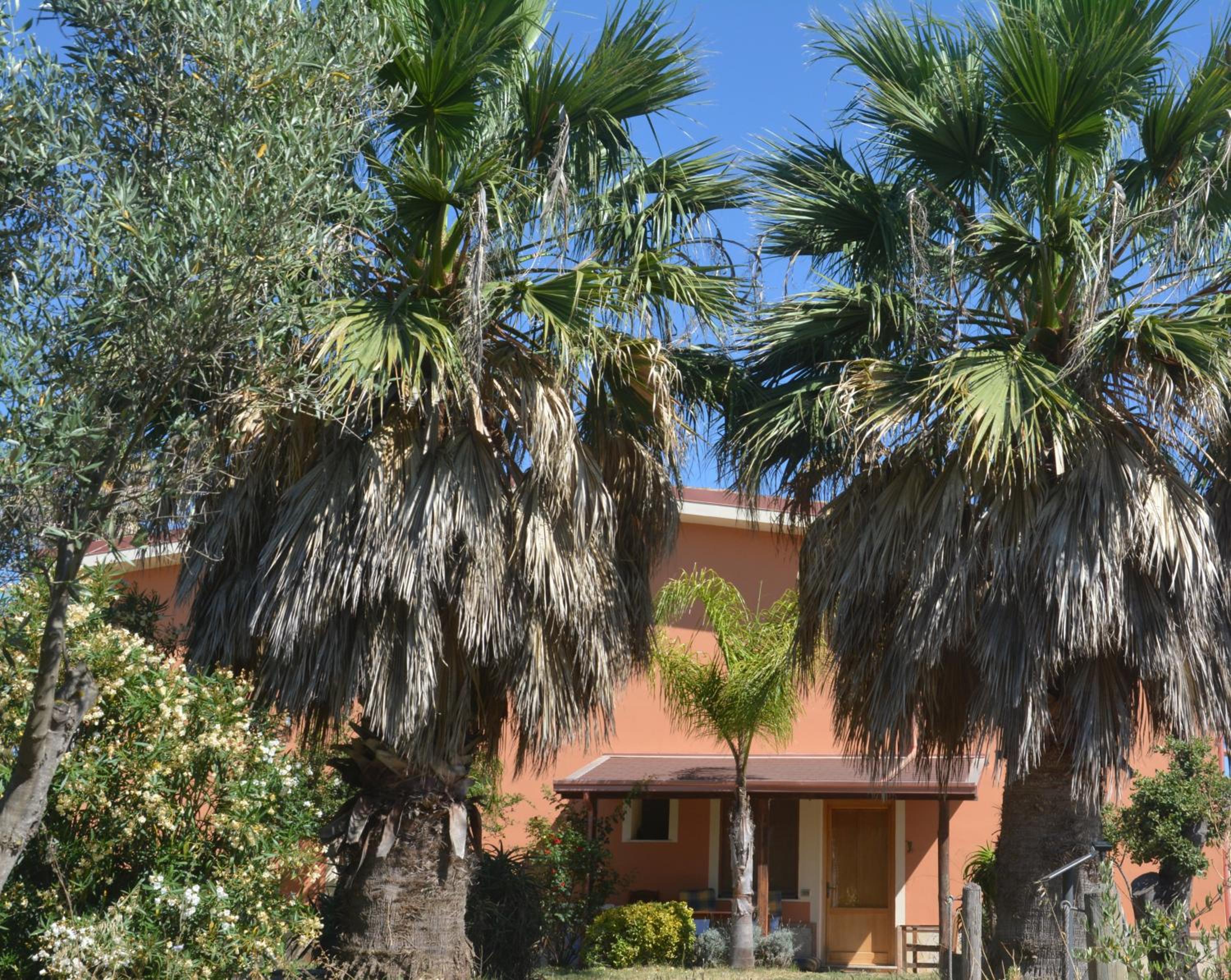 Agriturismo Torre Del Golfo