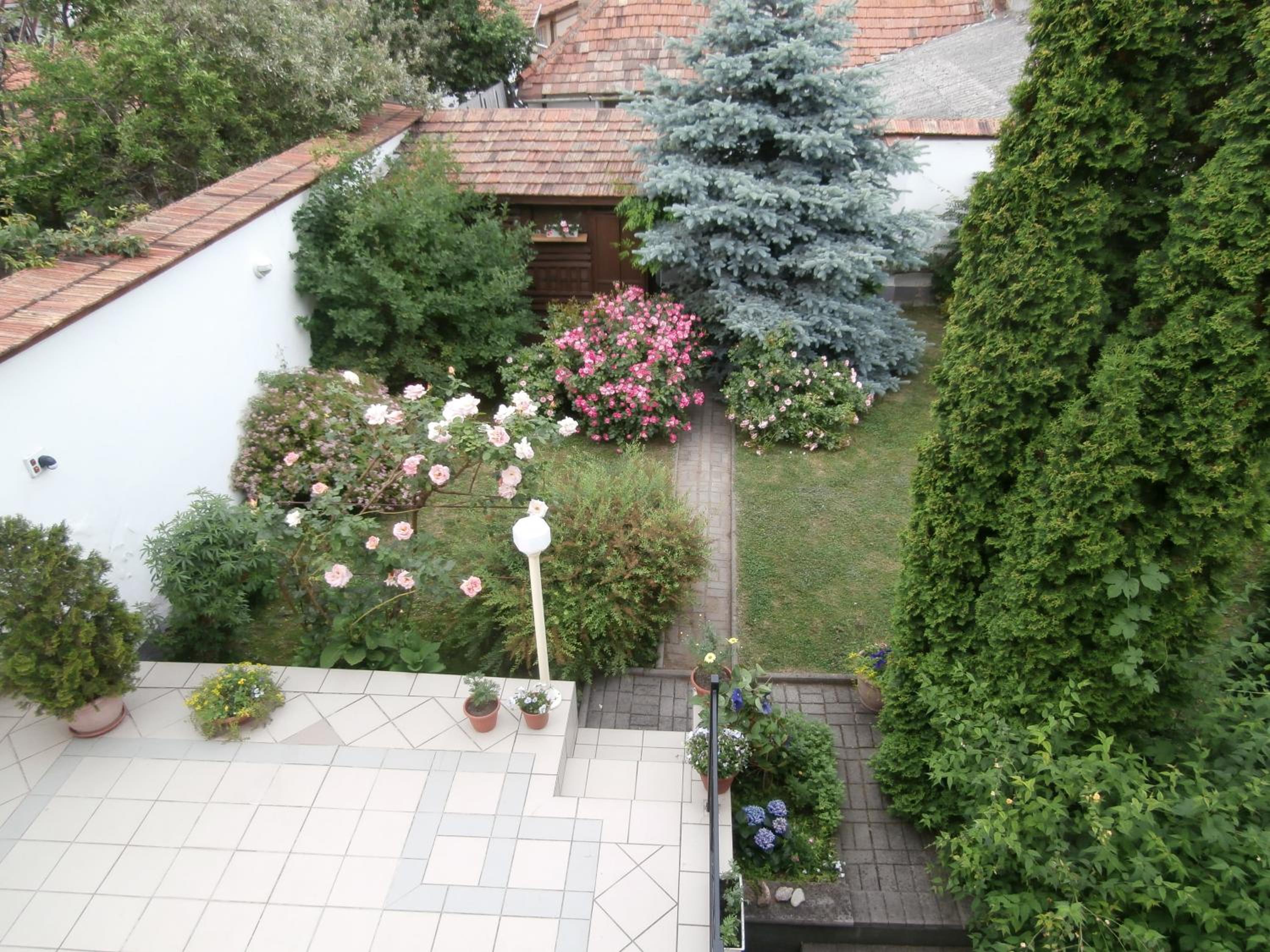 Photo 42