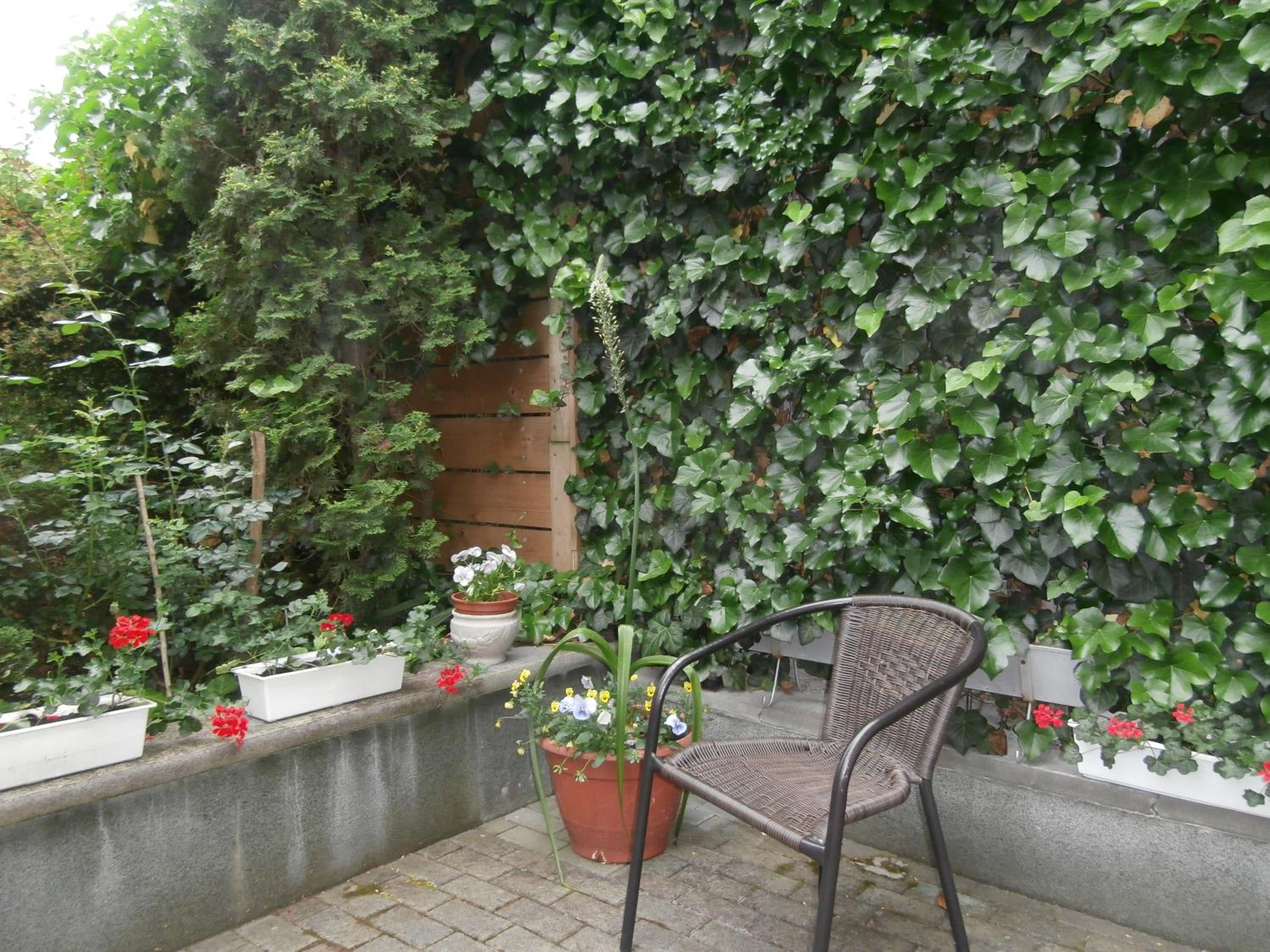 Photo 43