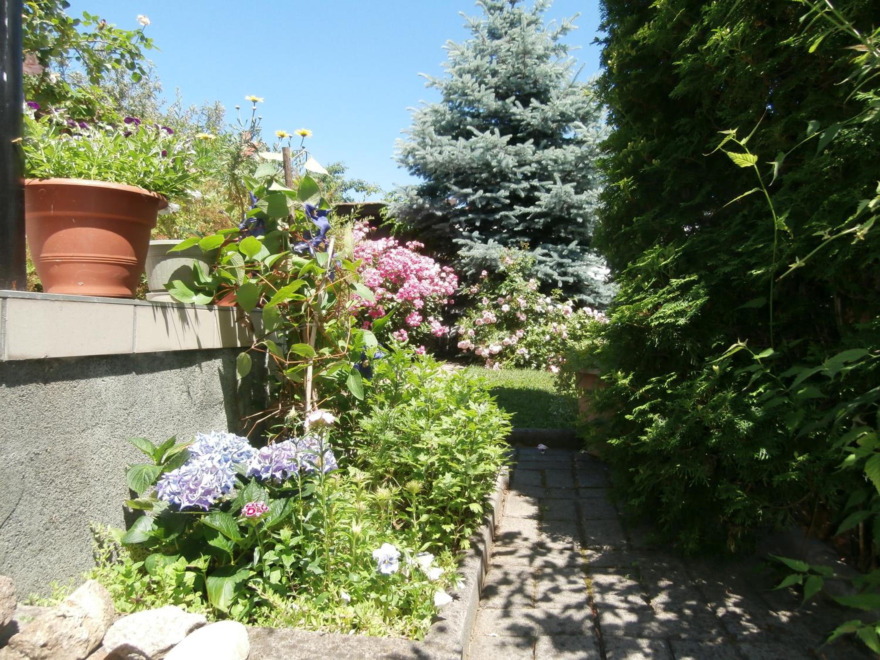 Photo 44
