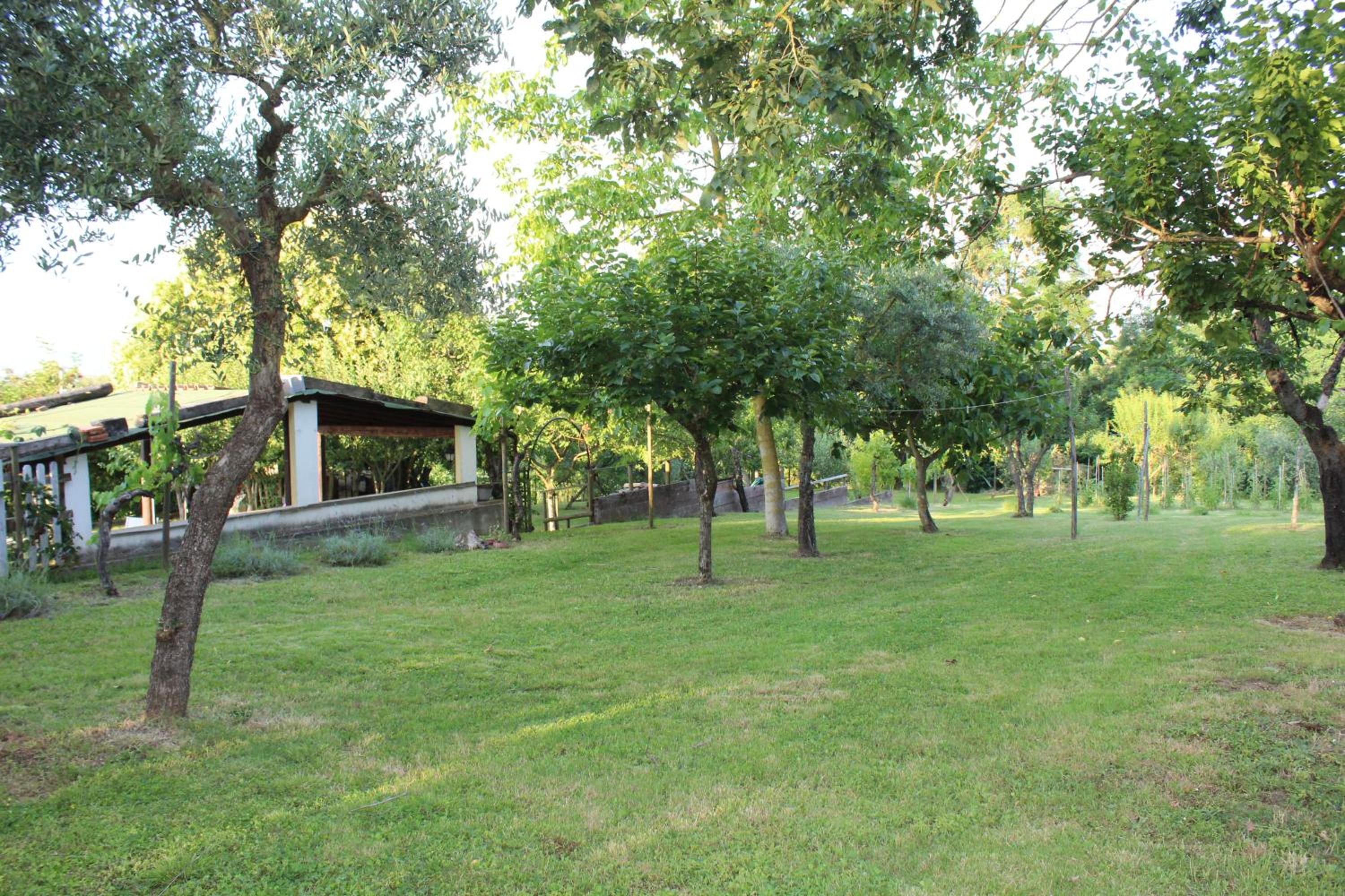 Radici House view 4