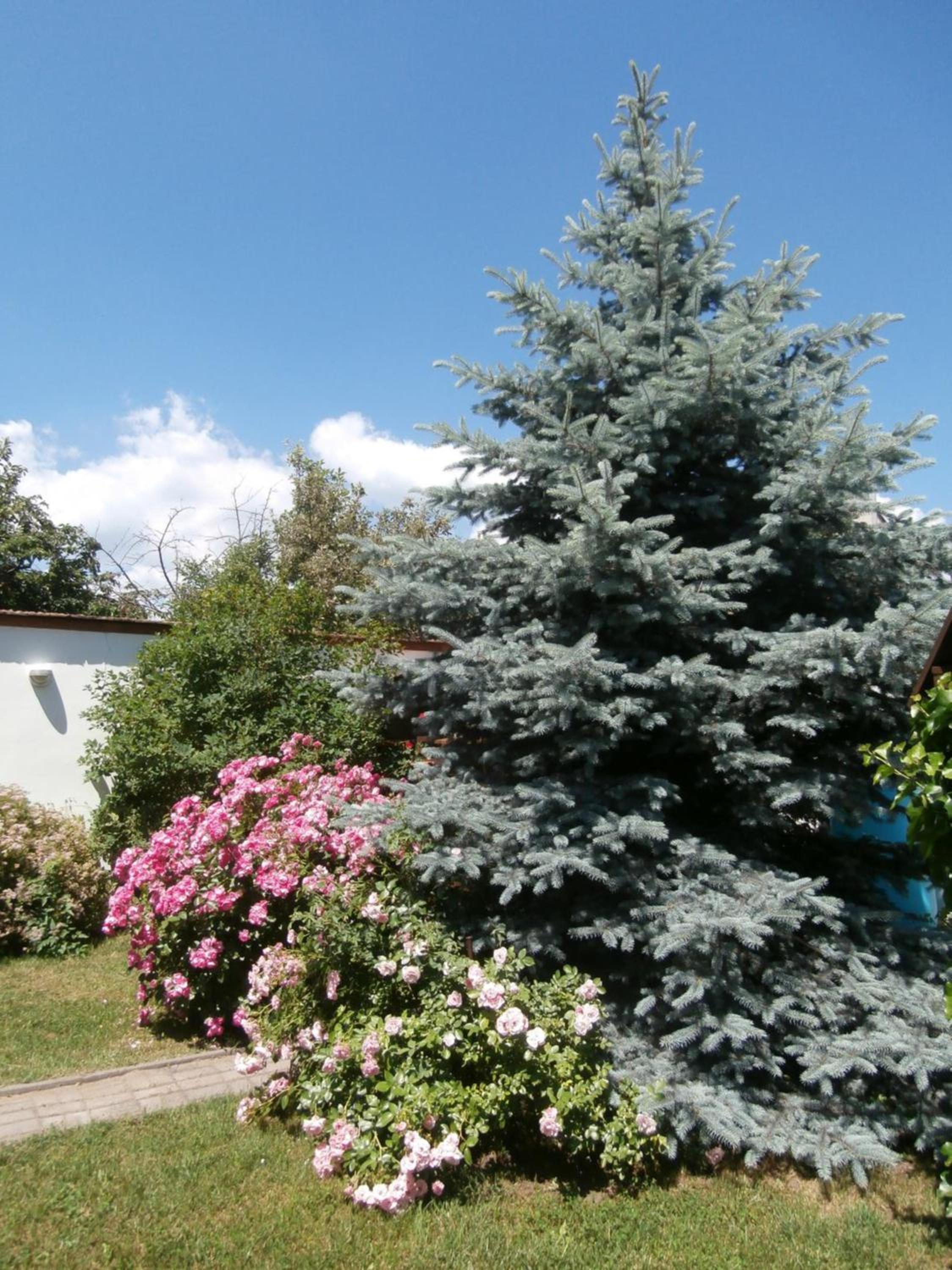 Photo 45