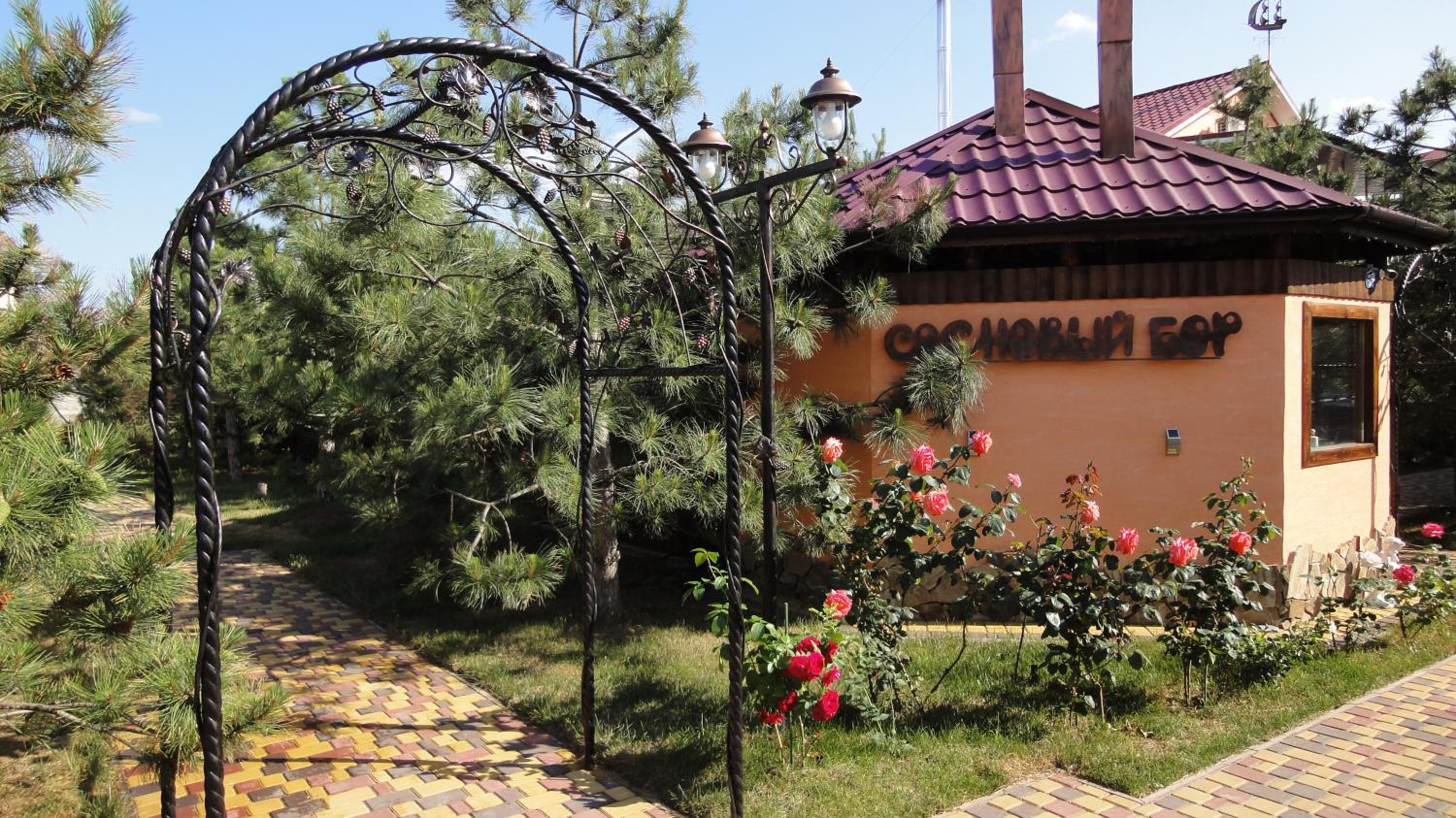 Villa Sosnovy Bor view 5