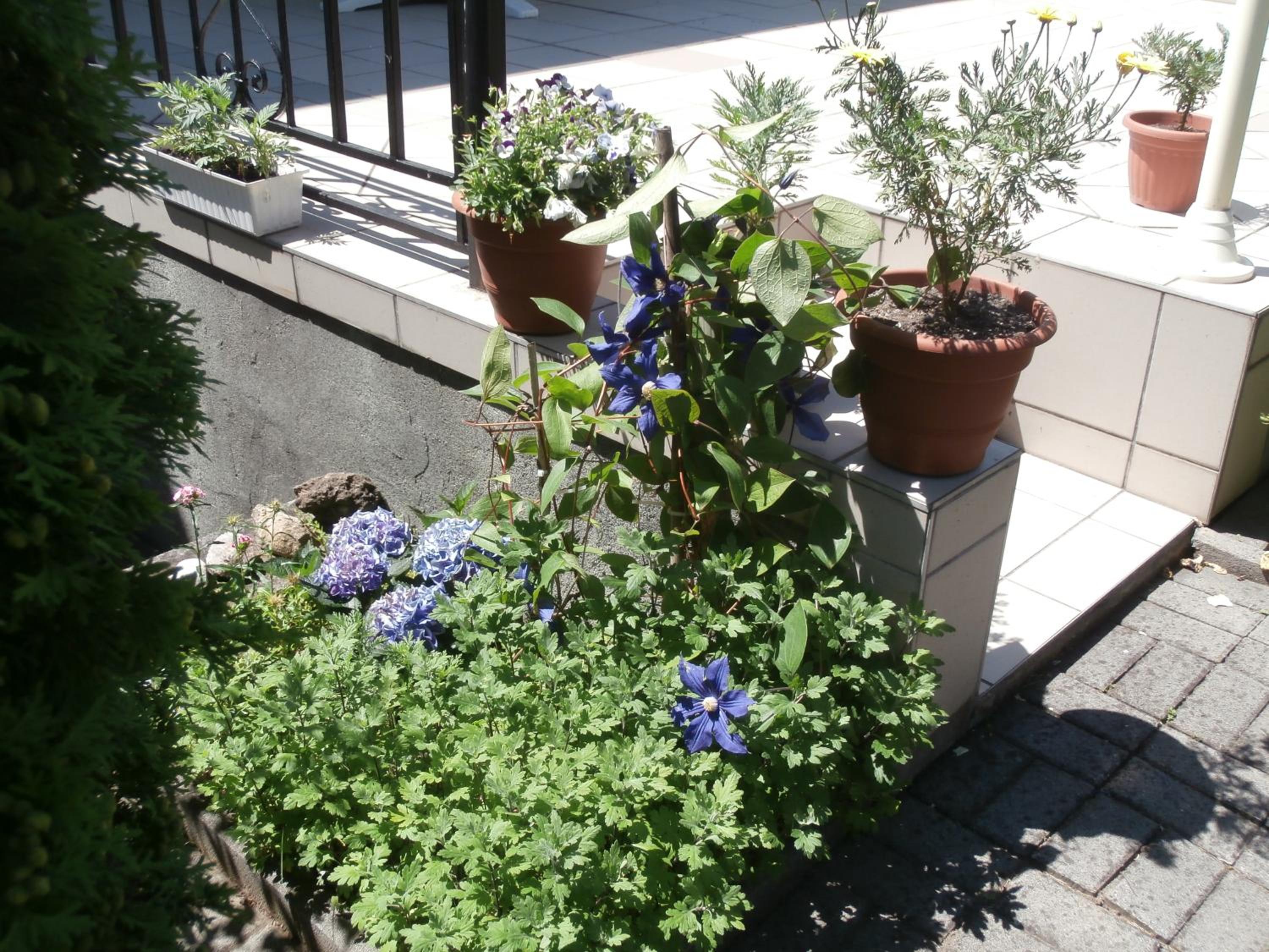 Photo 46