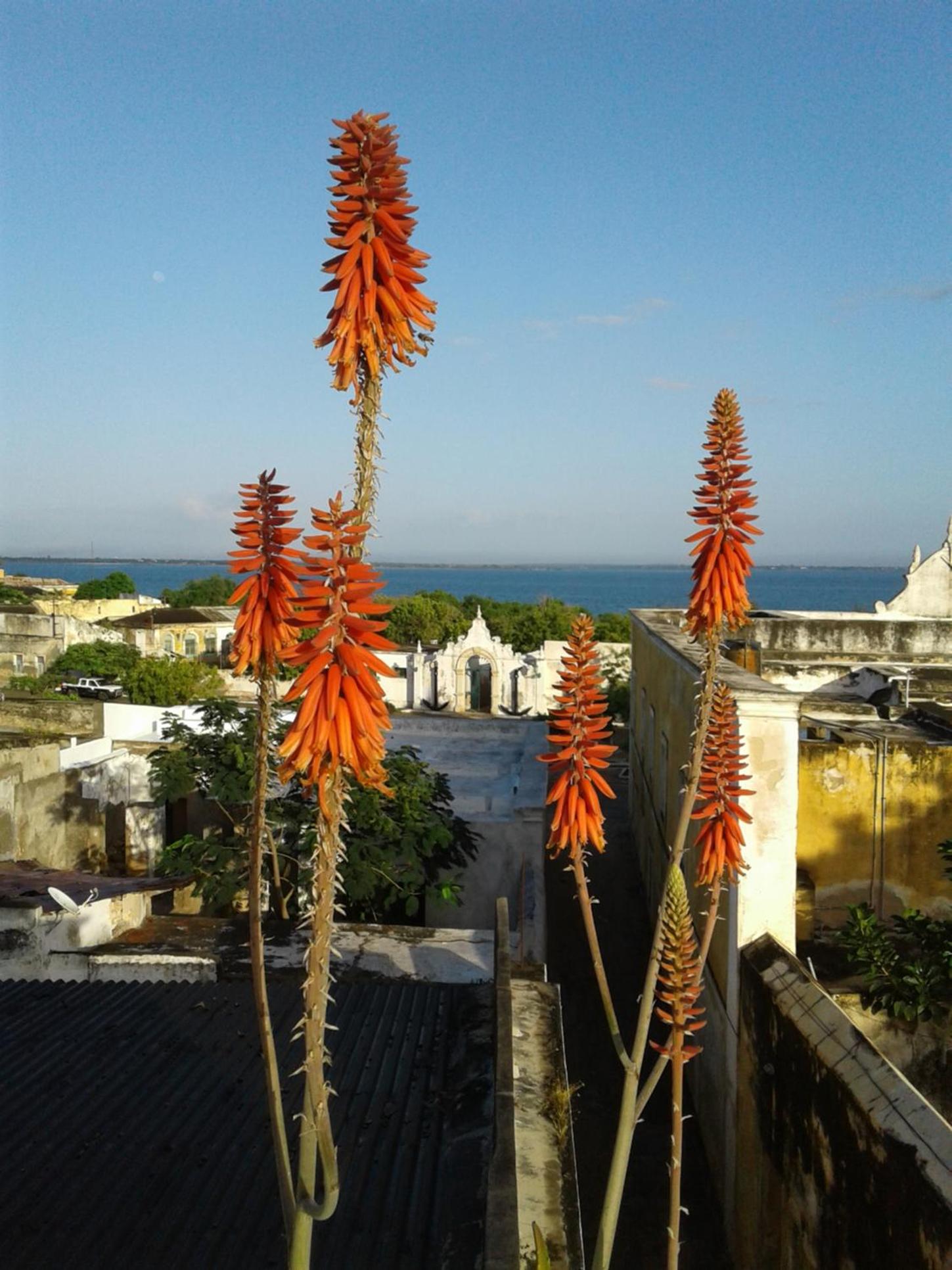 Jardim dos Aloés, Unique B&B - Casa de Charme, photo 58