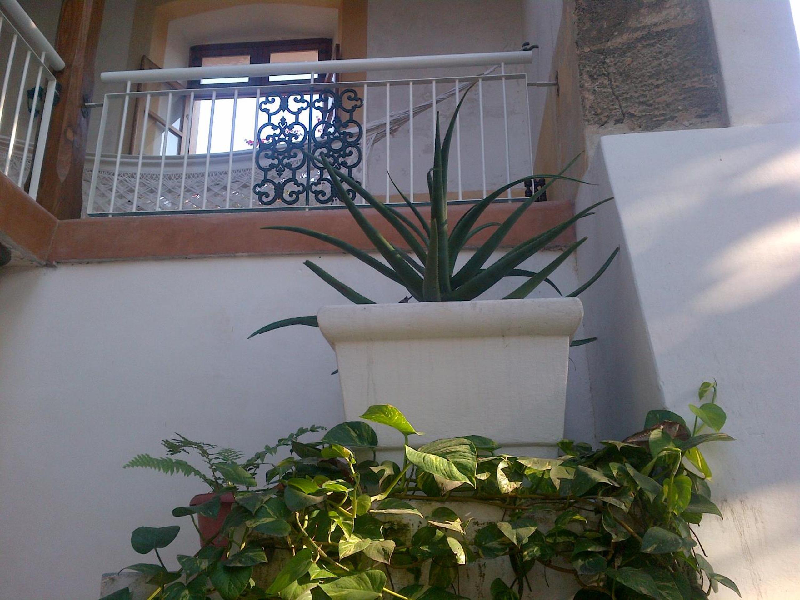 Jardim dos Aloés, Unique B&B - Casa de Charme, photo 41