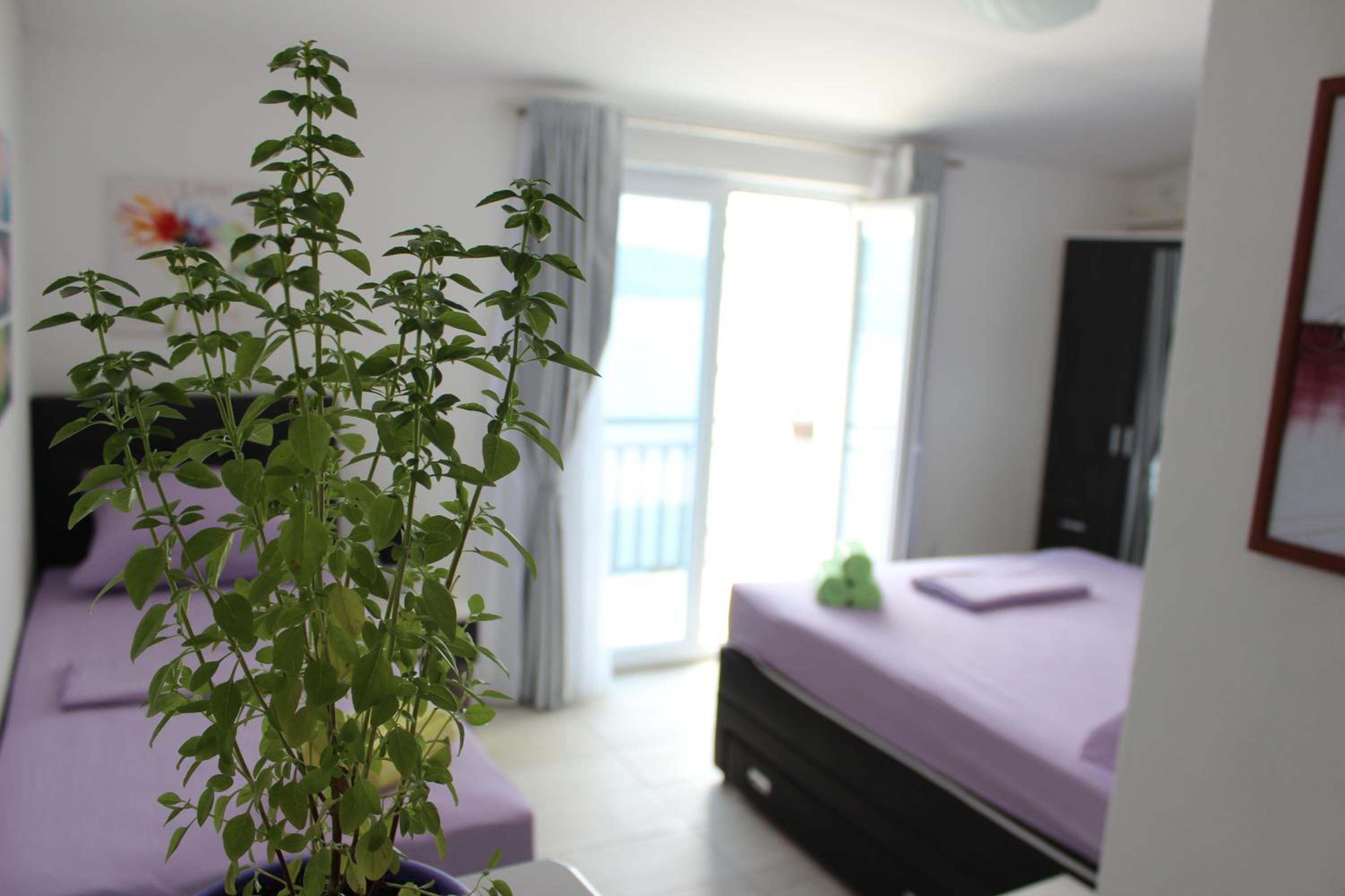 Guest House Put