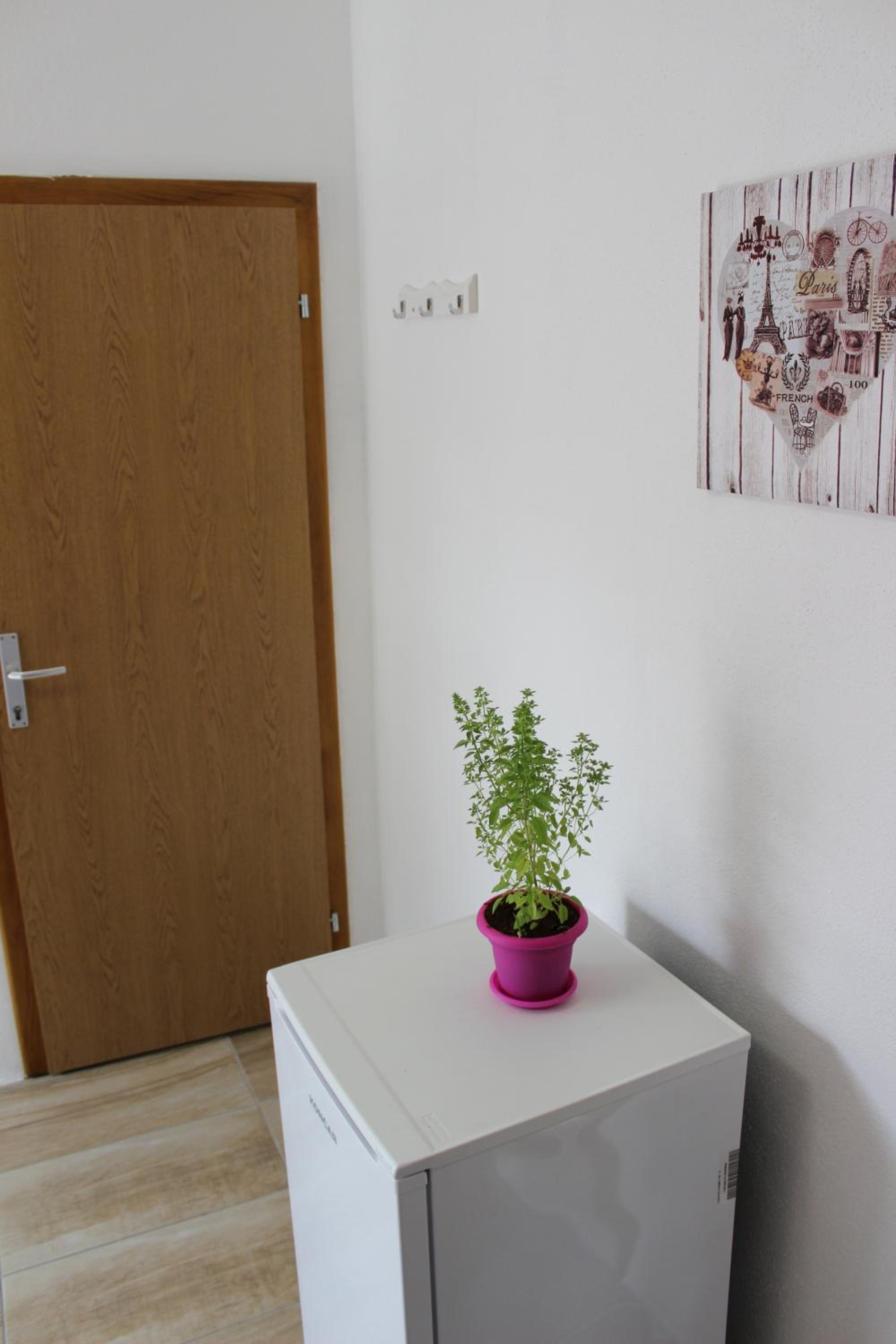 Guest House Put