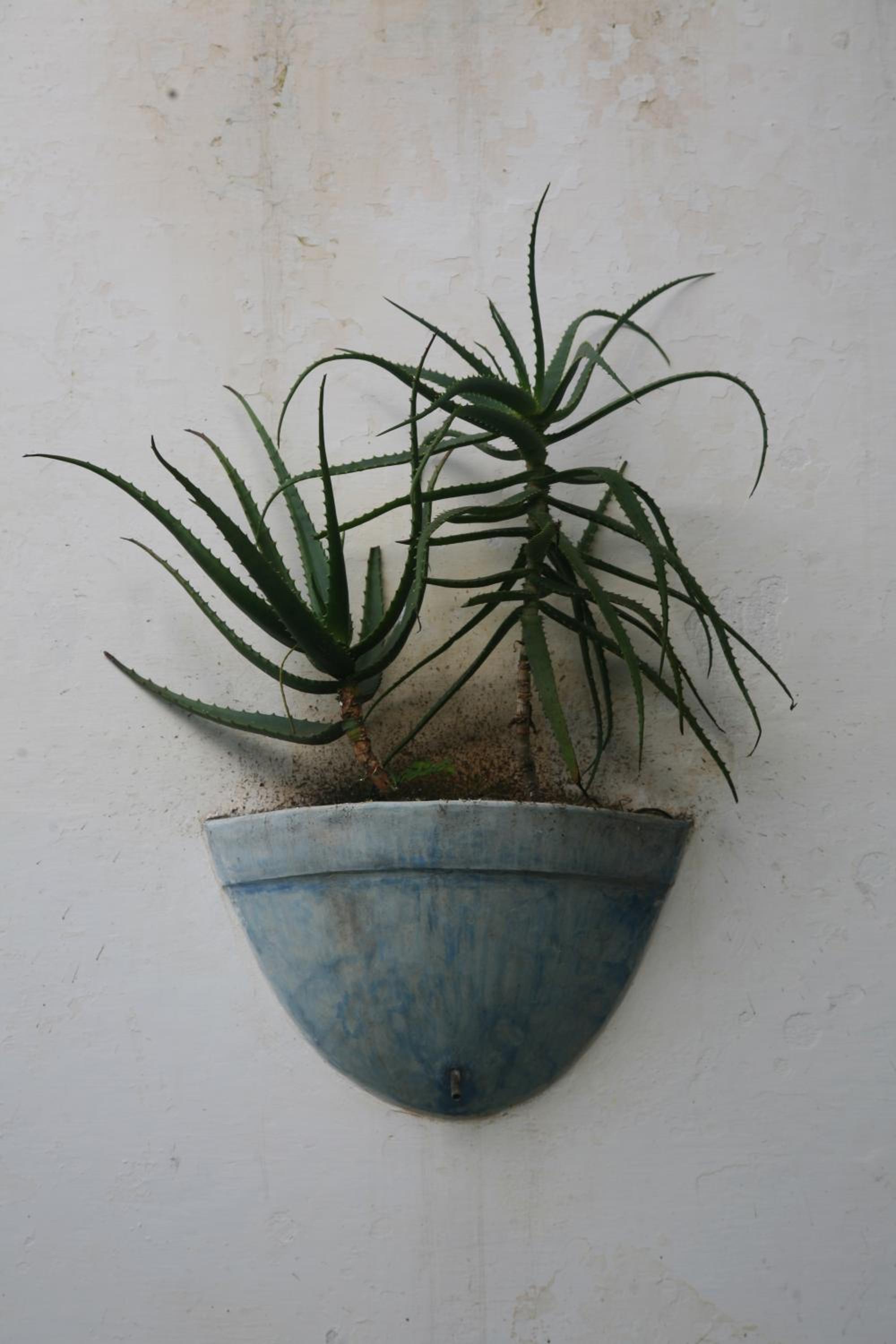 Jardim dos Aloés, Unique B&B - Casa de Charme, photo 47