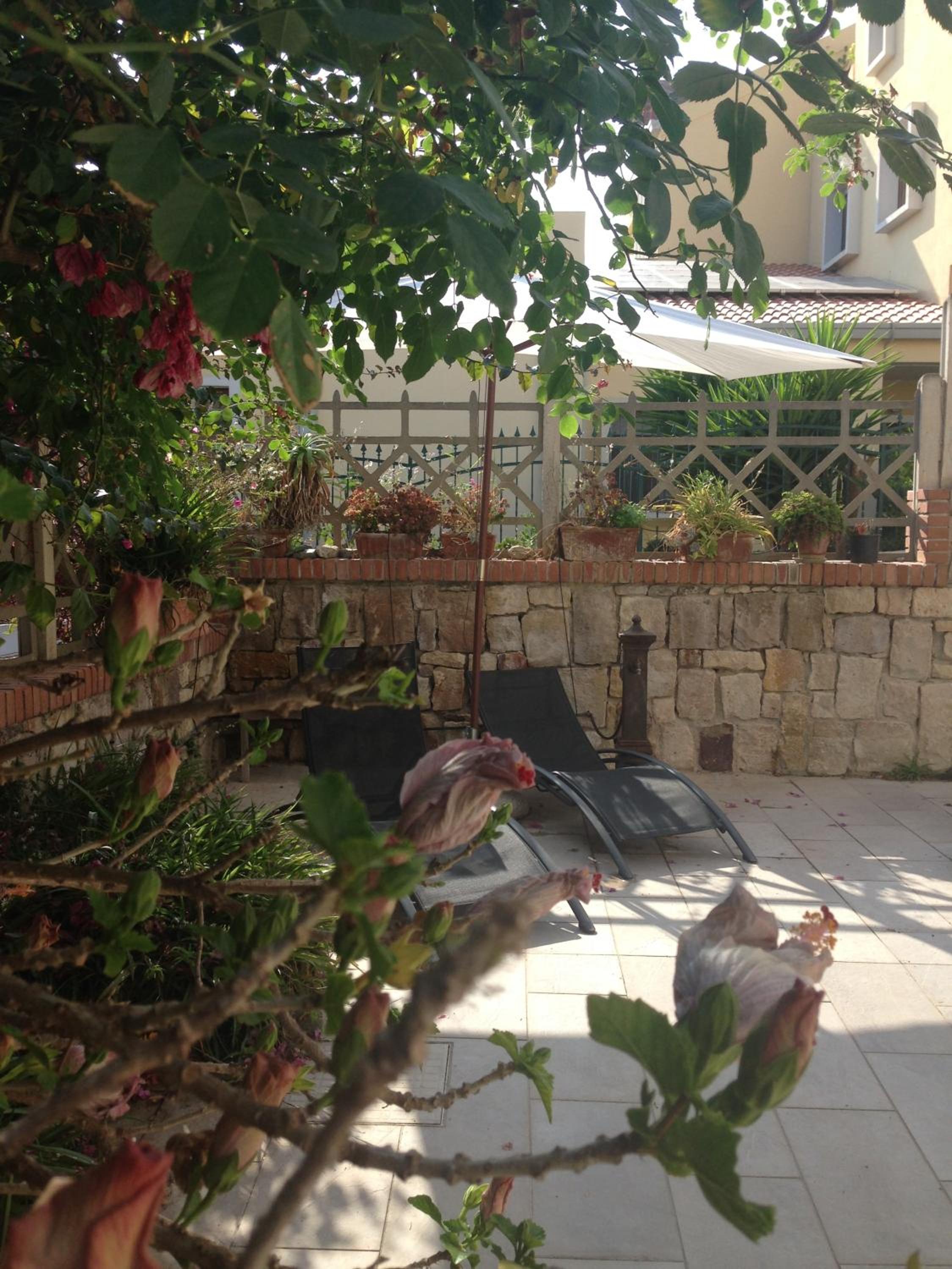 Photo 54