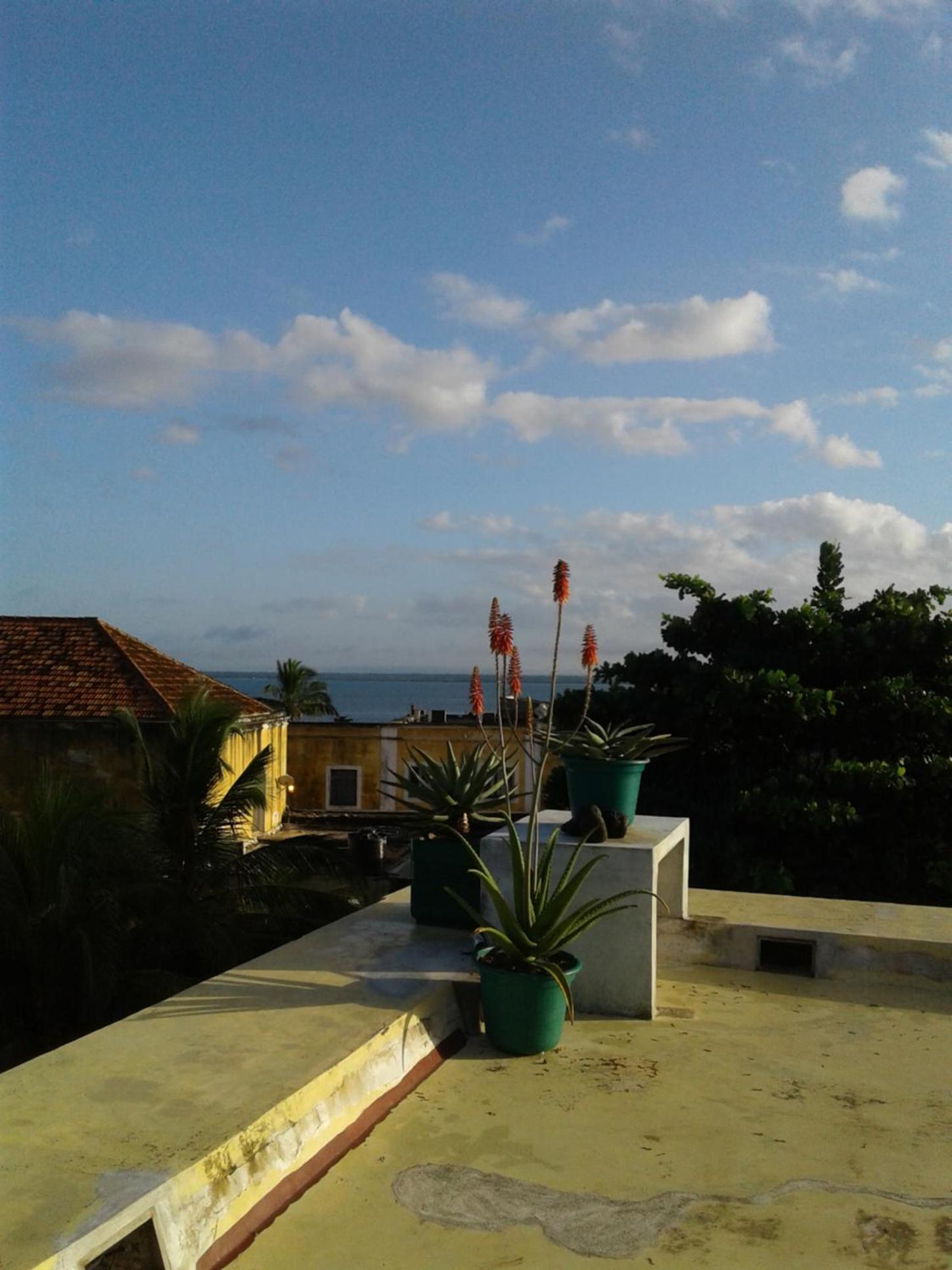 Jardim dos Aloés, Unique B&B - Casa de Charme, photo 17