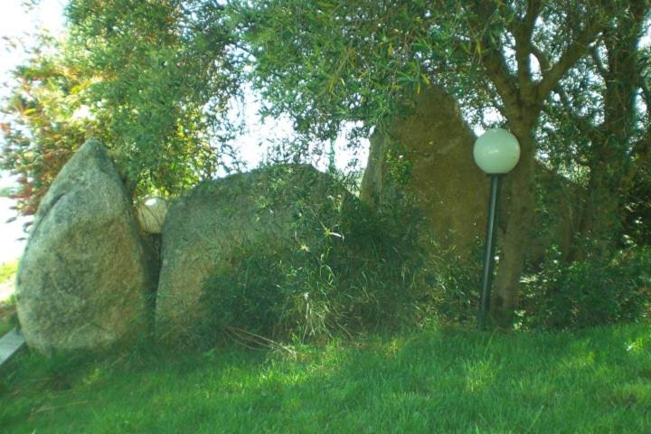 Photo 52