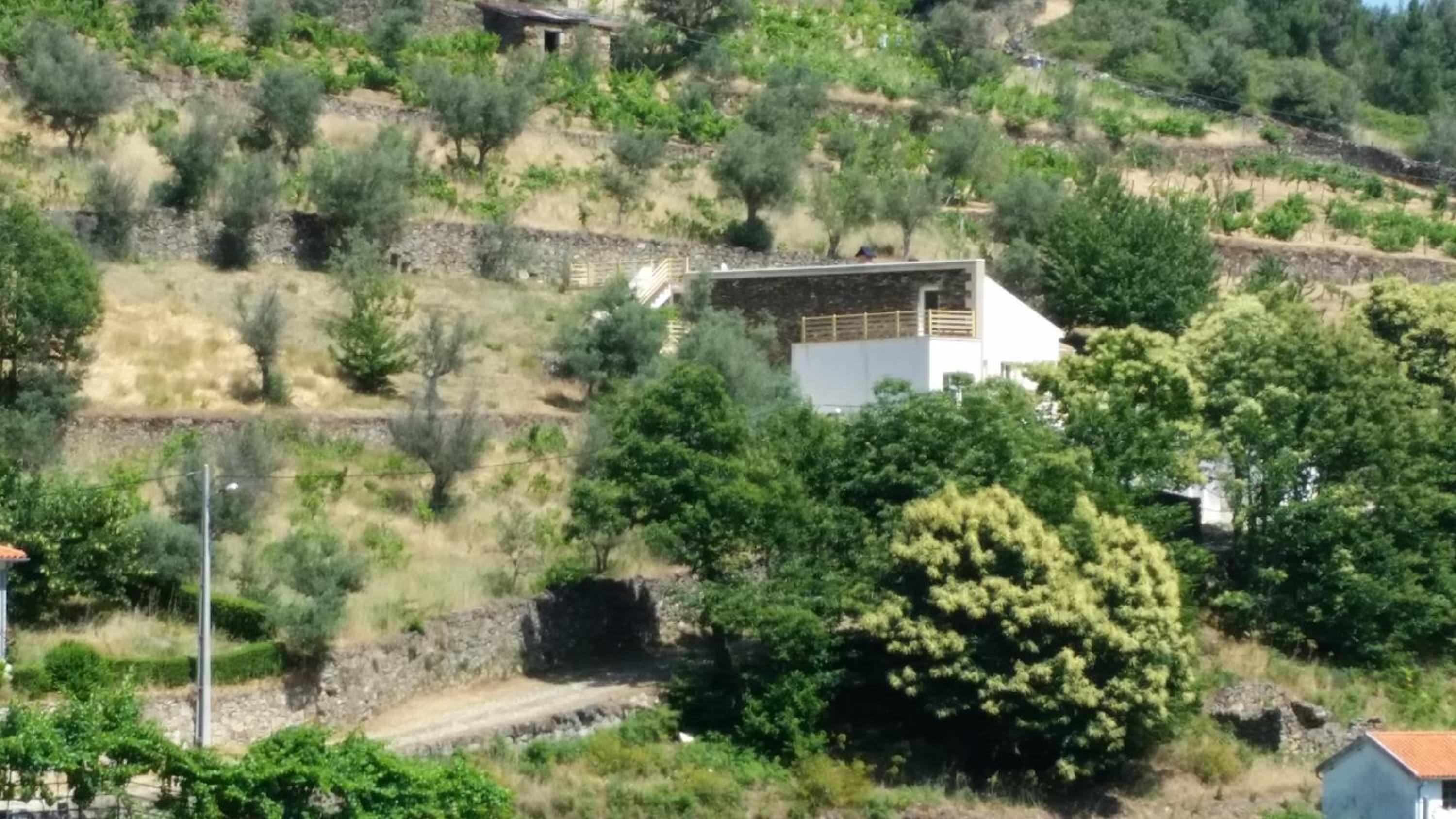 Casa das Oliveiras - Manteigas view 5