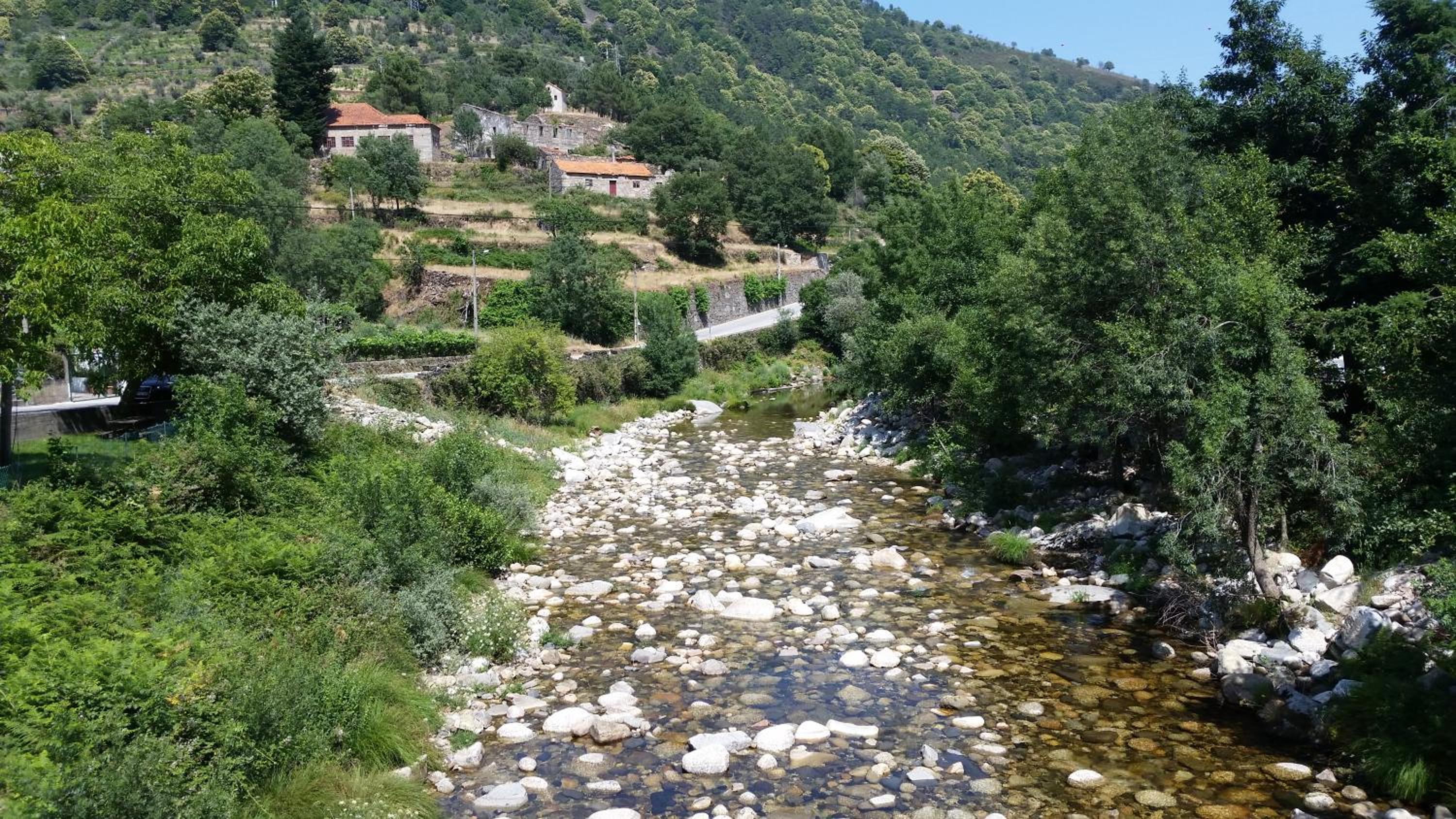 Casa das Oliveiras - Manteigas view 4