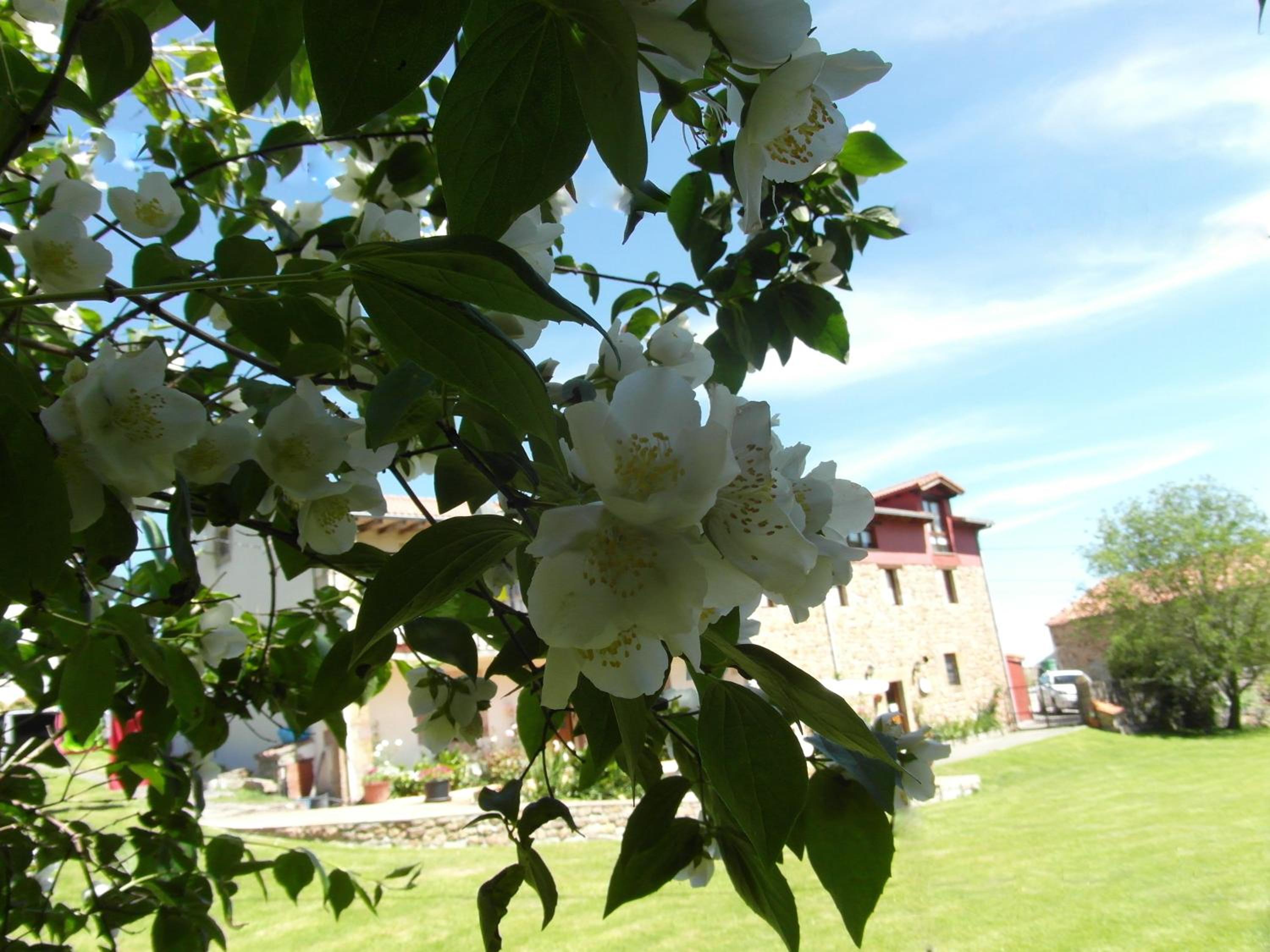Photo 27