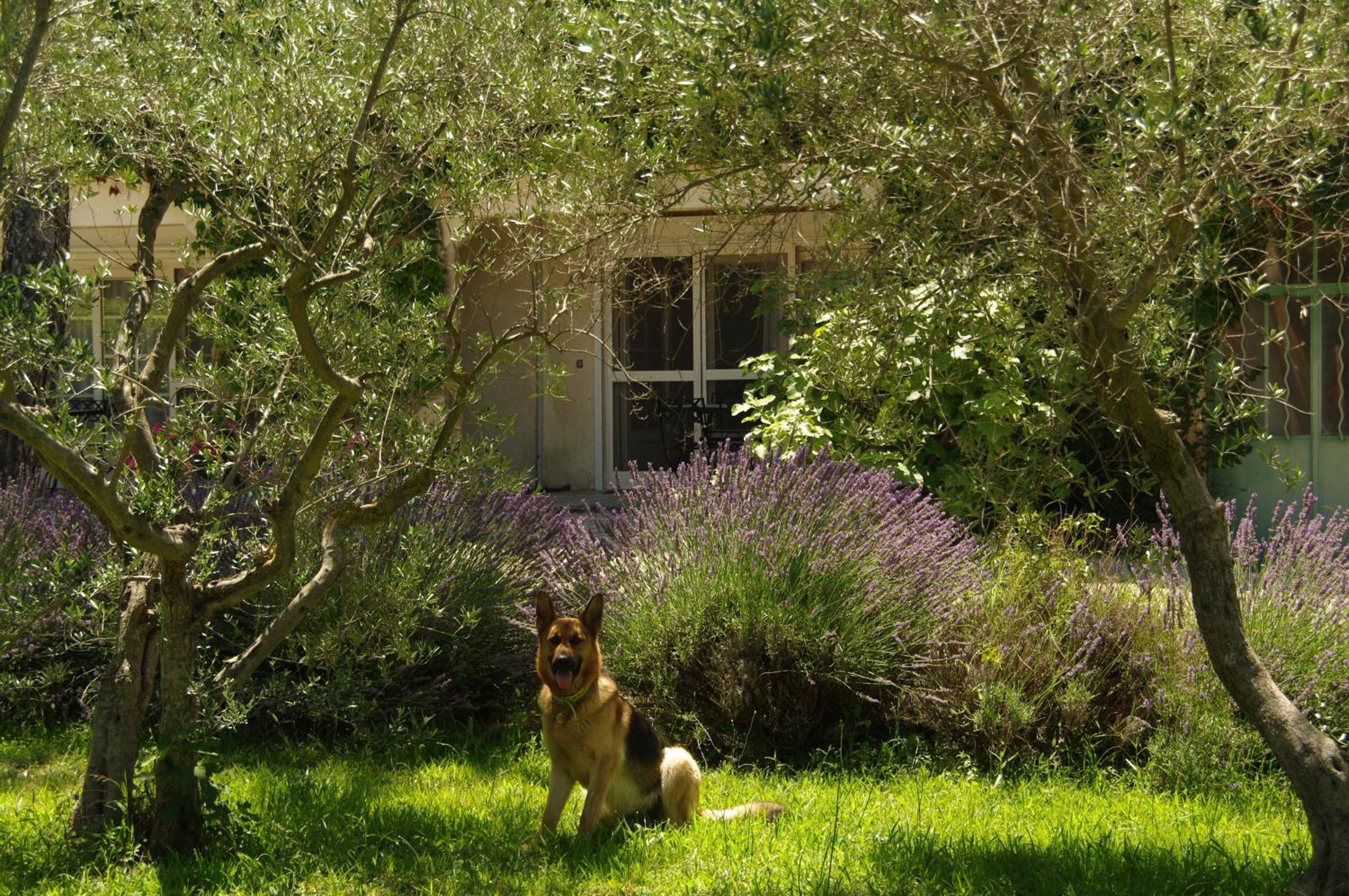 Photo 20