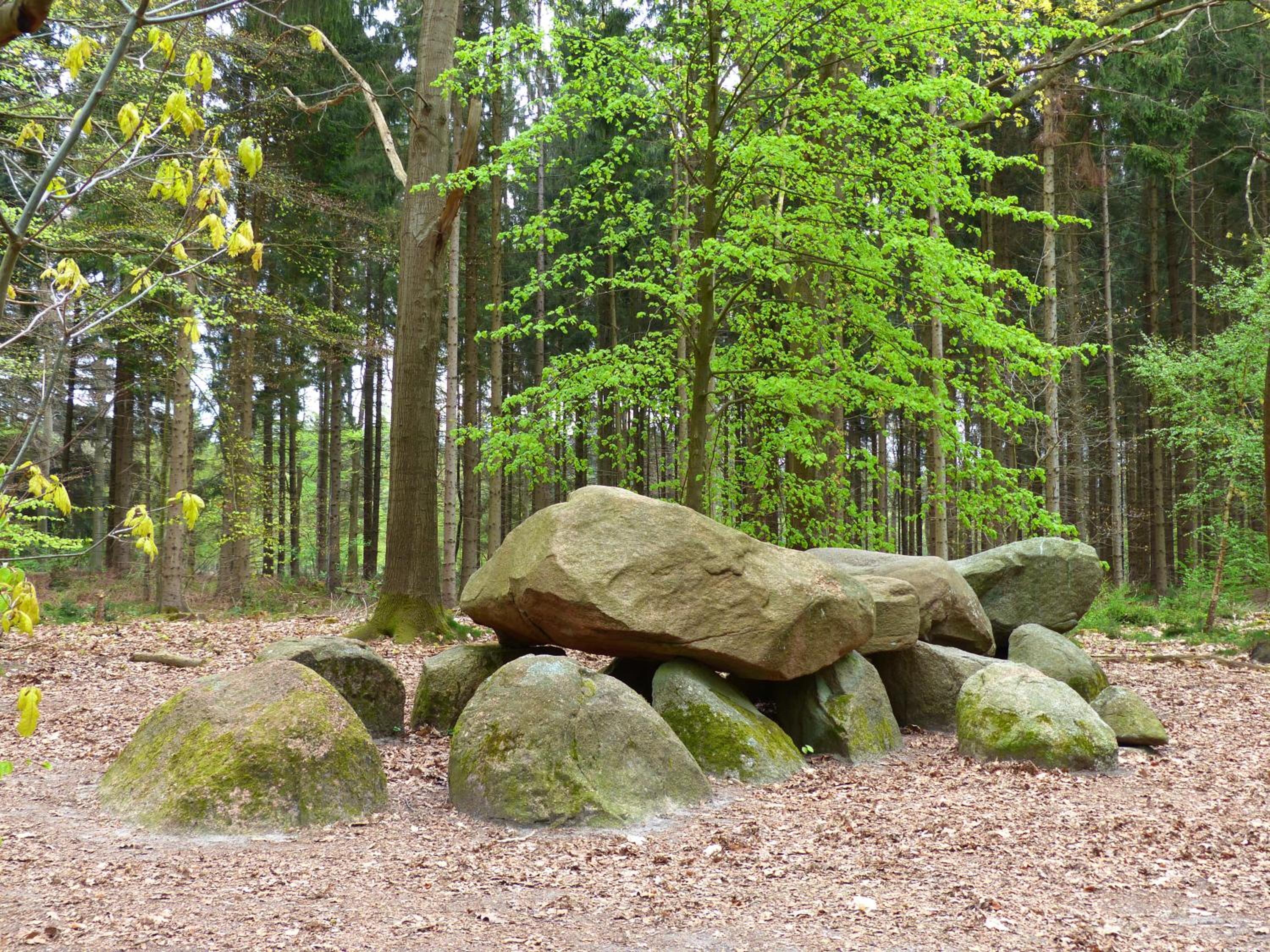Herberg De Eexter Os view 5