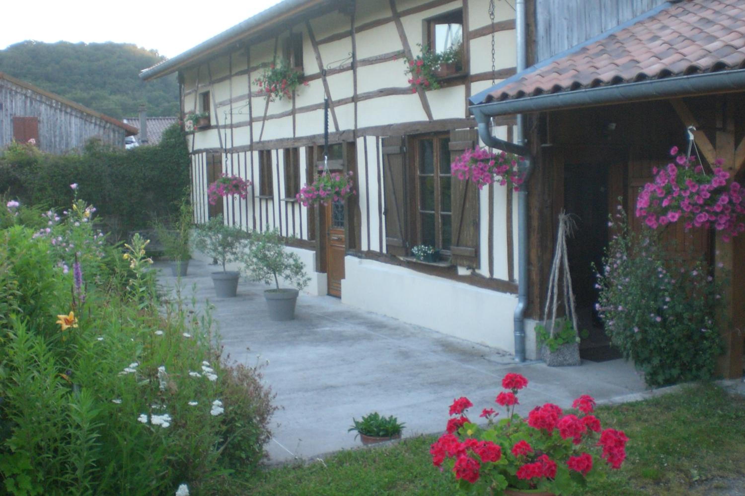 Photo 20