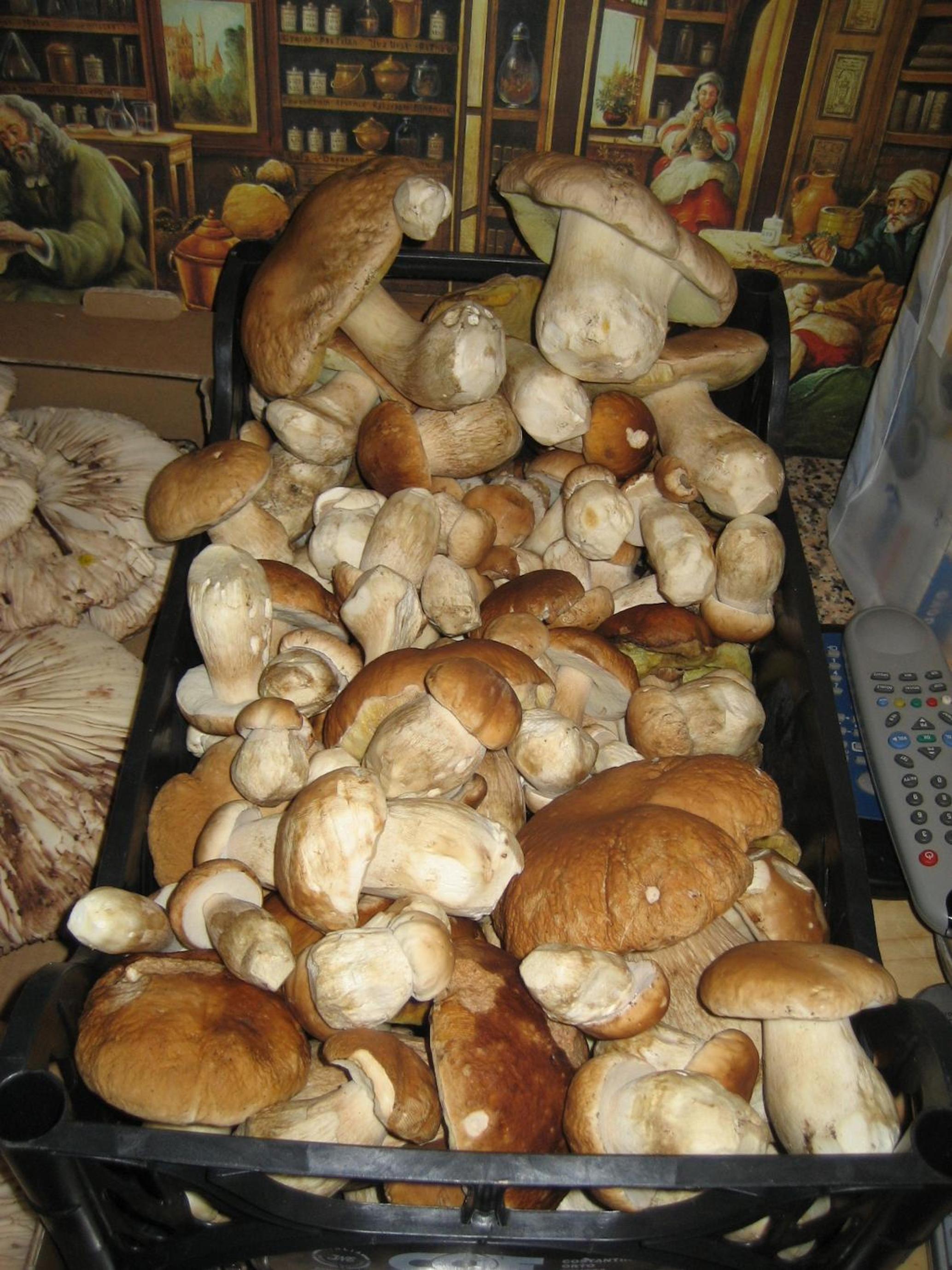 Photo 12