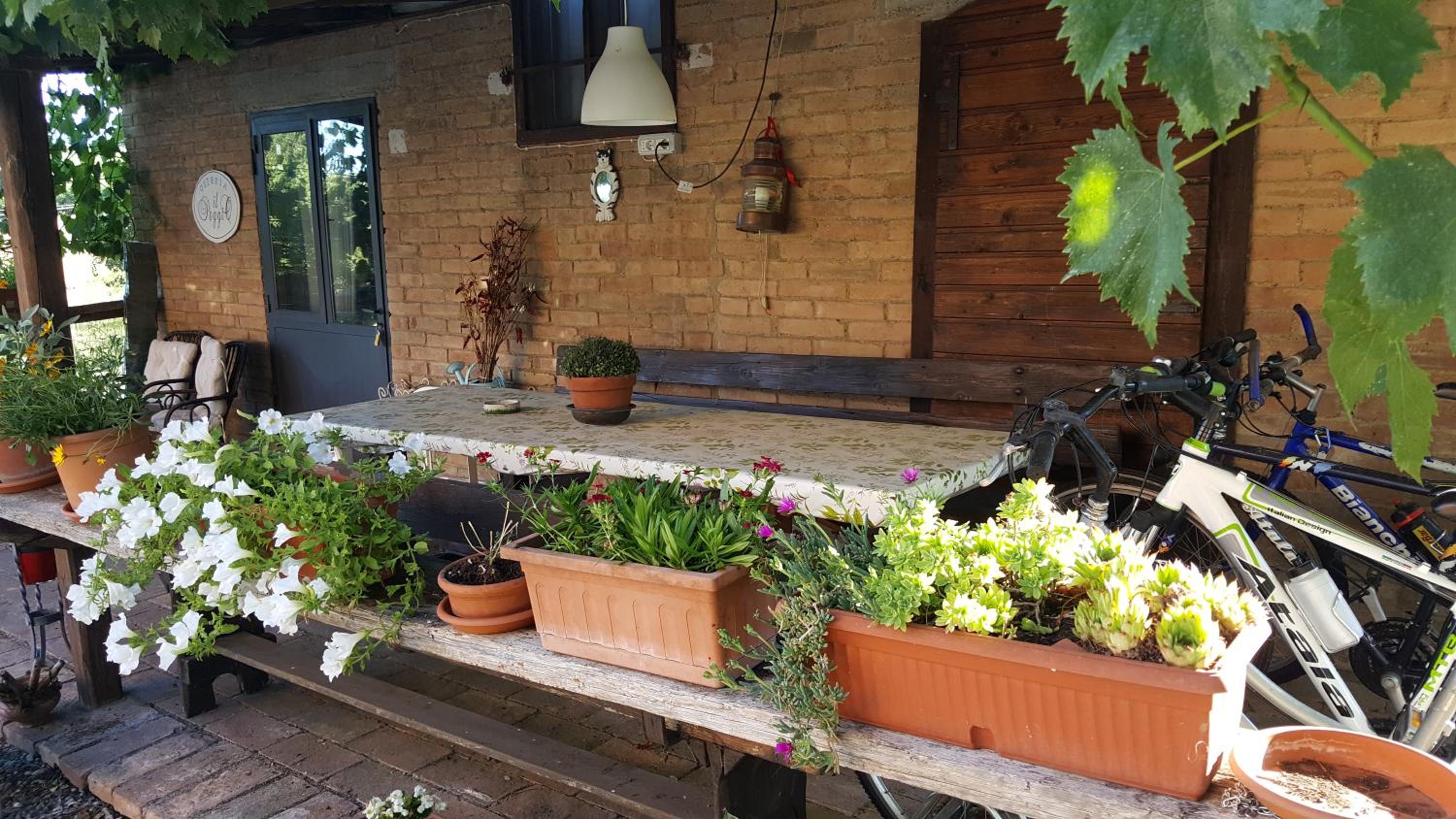 Casa Vacanze Fornace