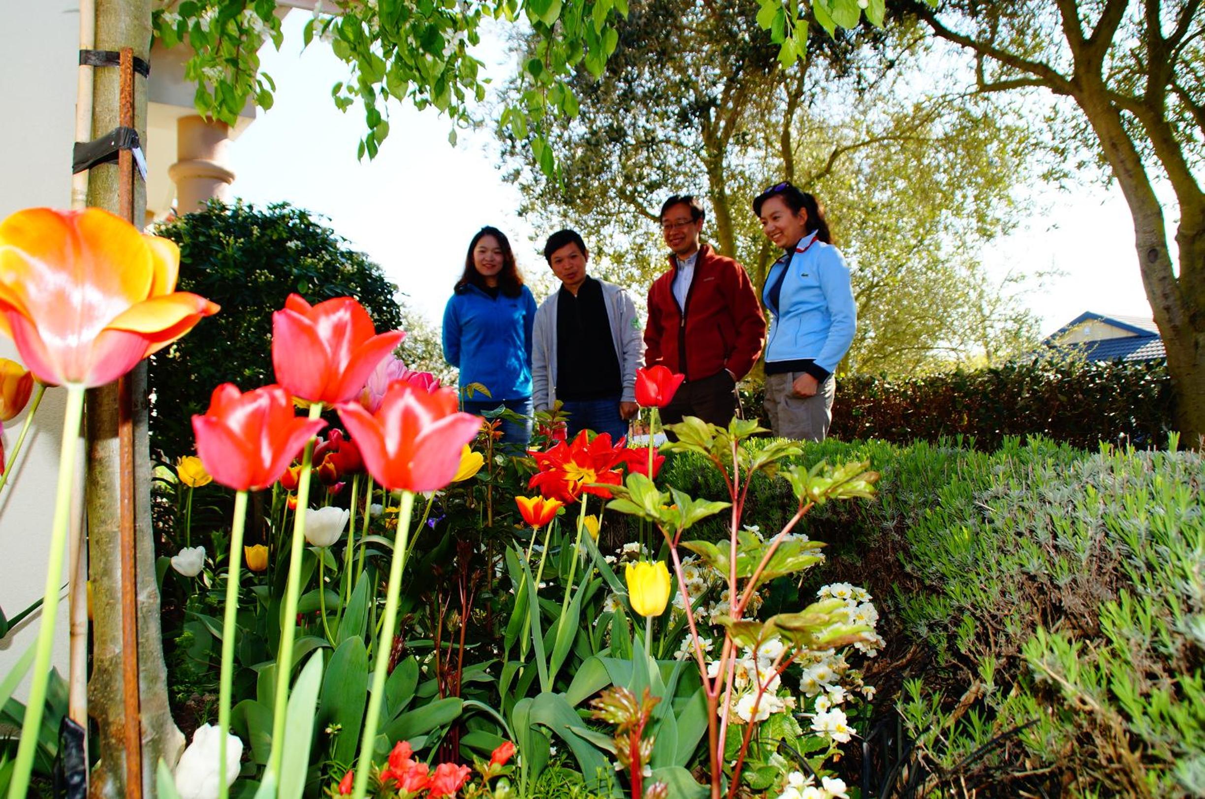 Hotel Olive House Bed and Breakfast - Image 1