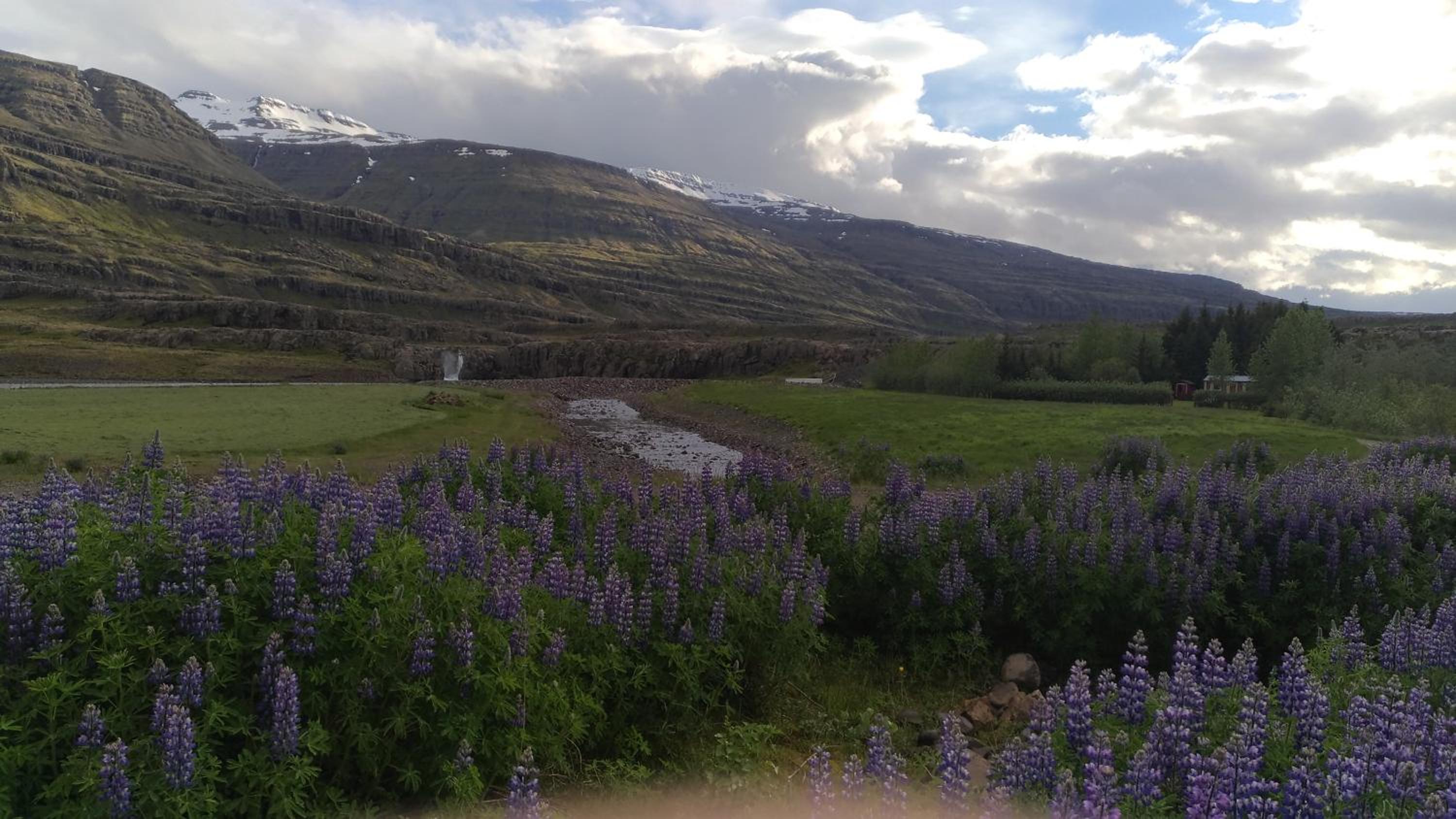 Fossardalur Guesthouse