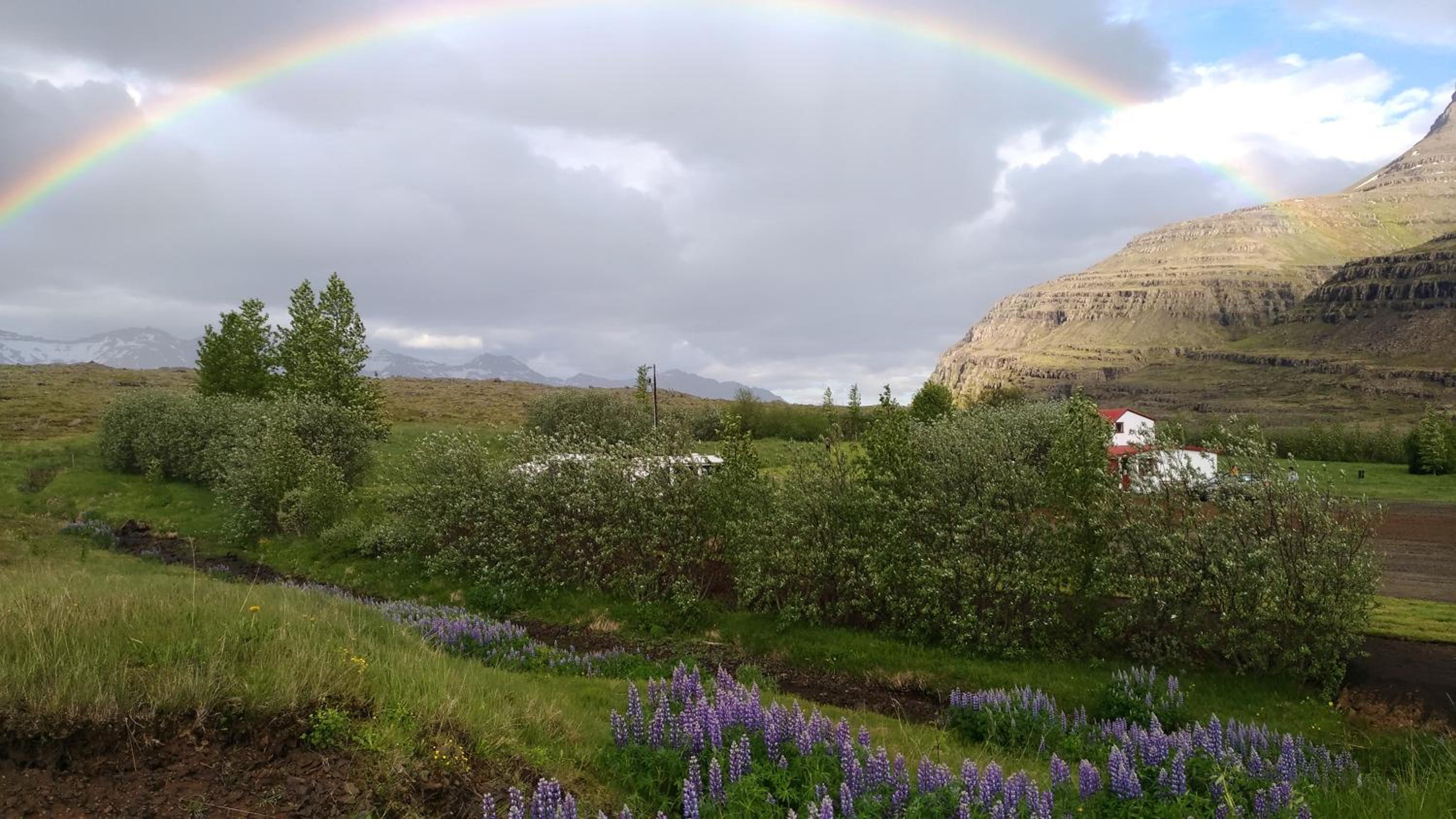 Fossardalur Guesthouse