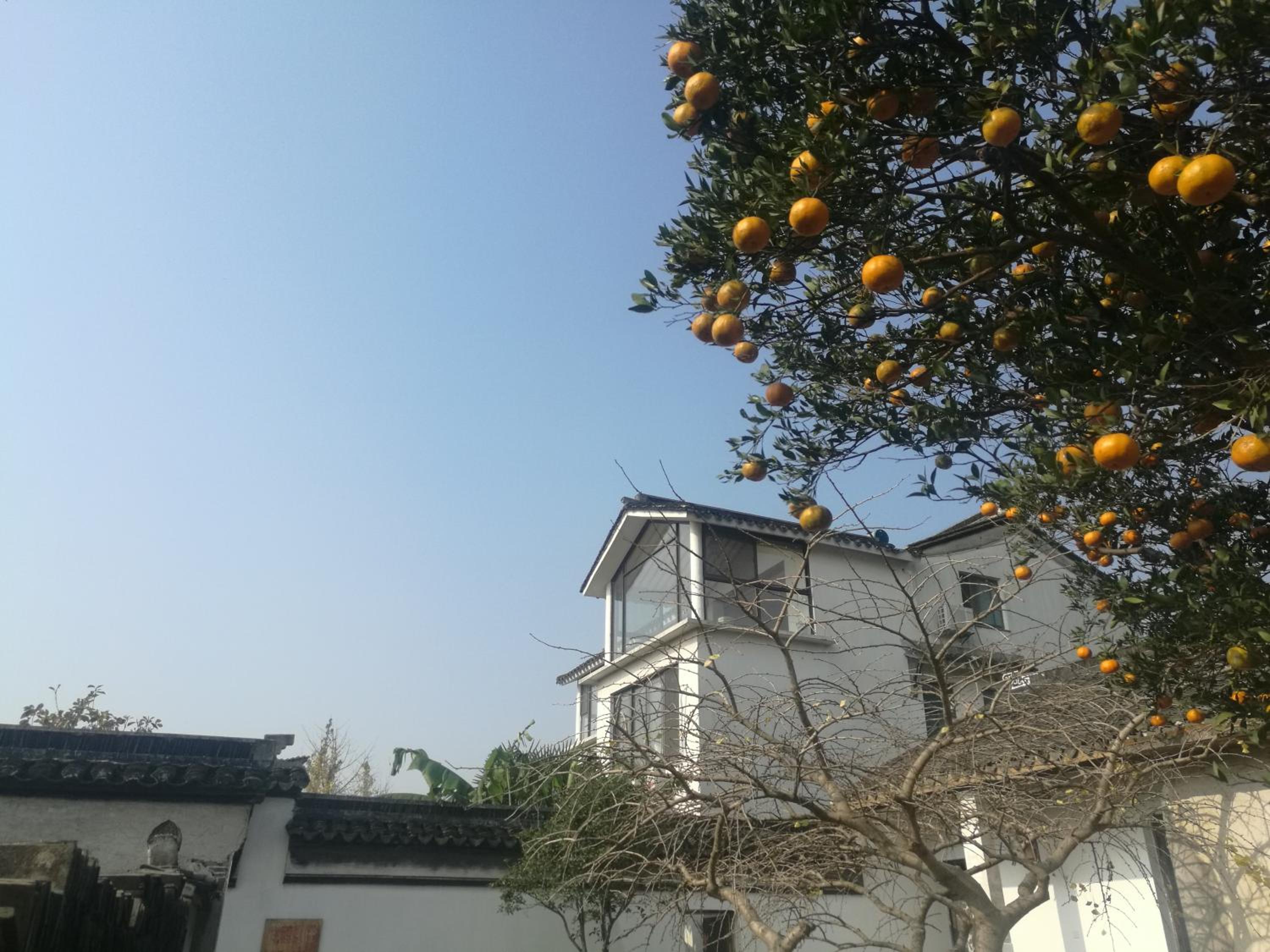 Pure-Land Villa